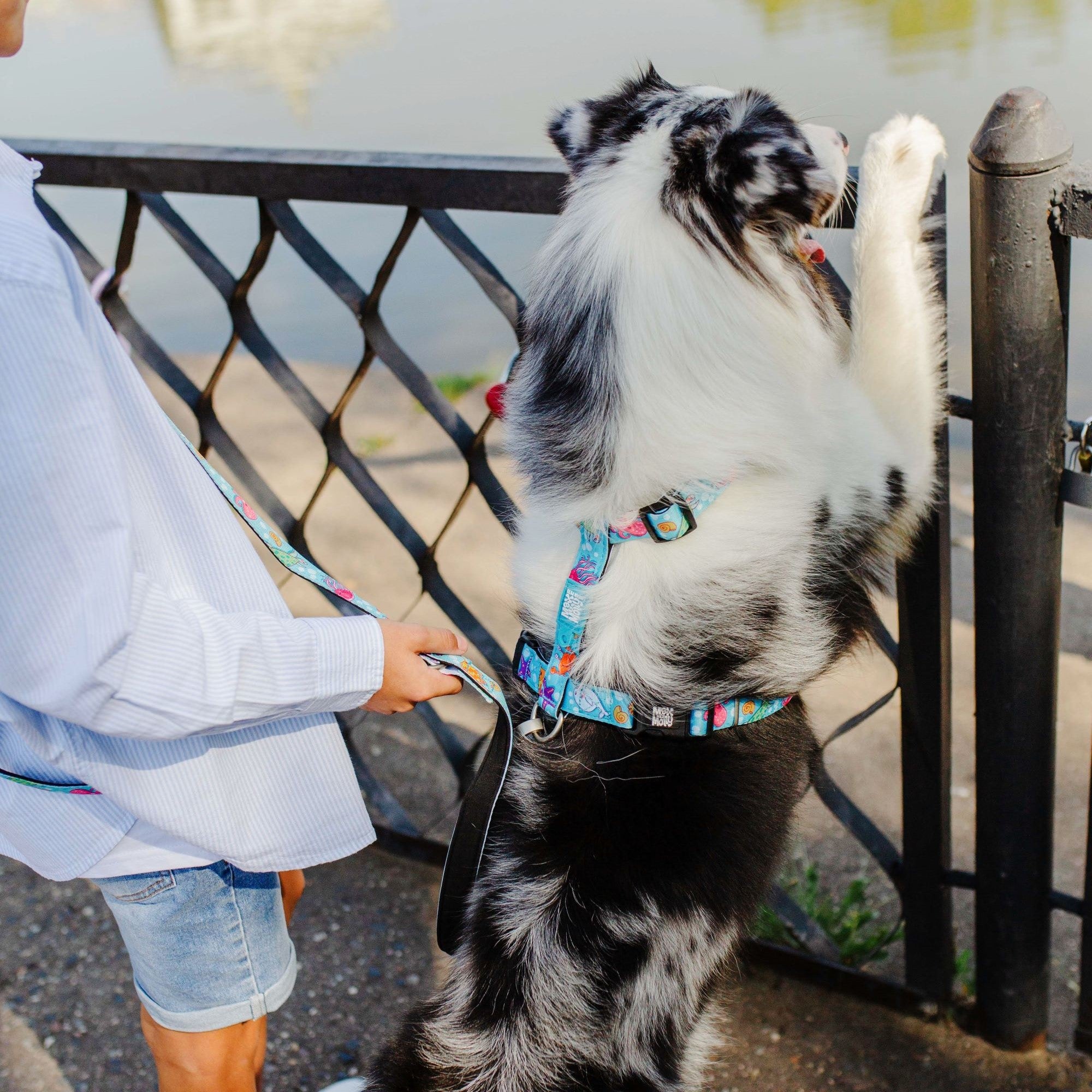 Multifunktionsleine - Blue Ocean