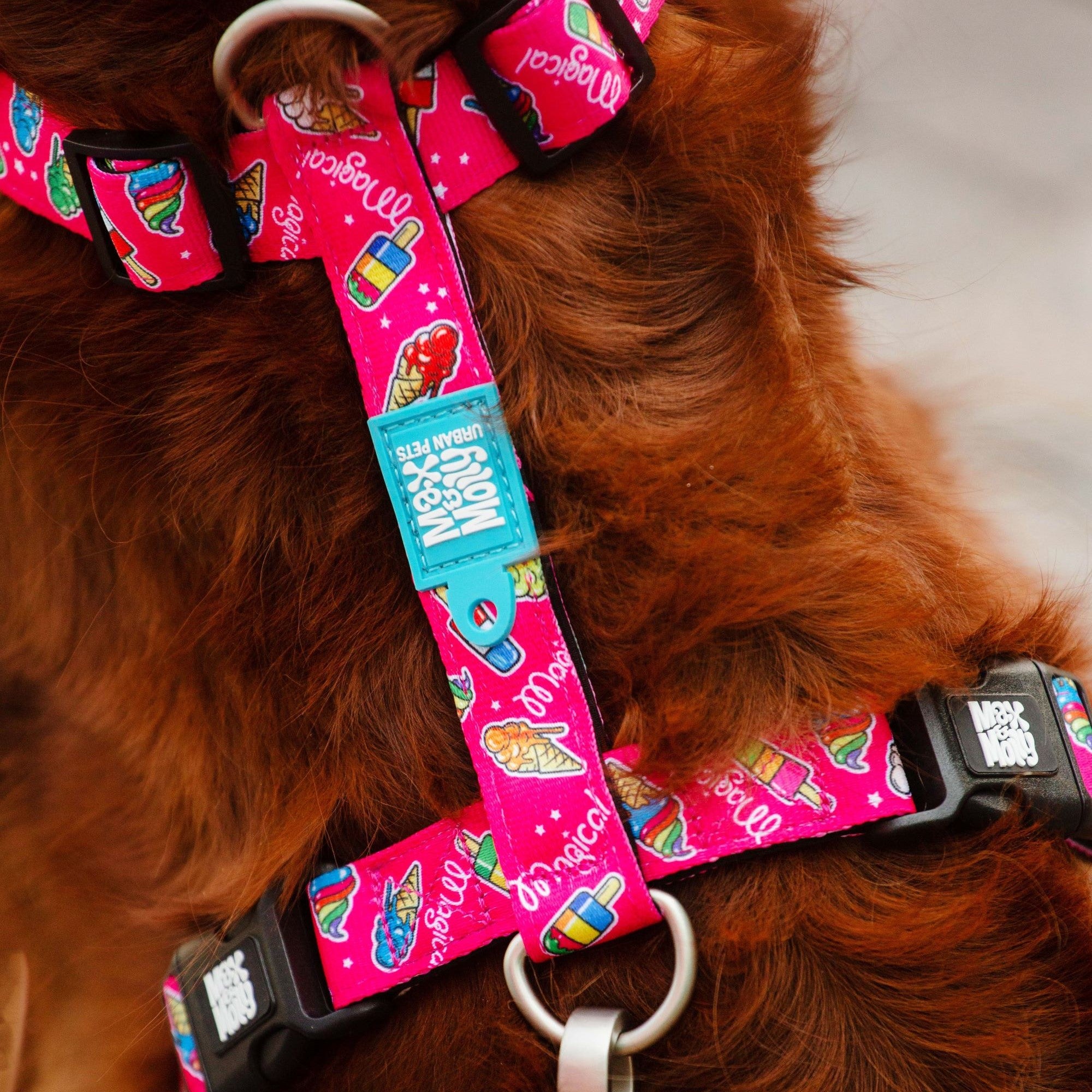 H-Geschirr - Magical