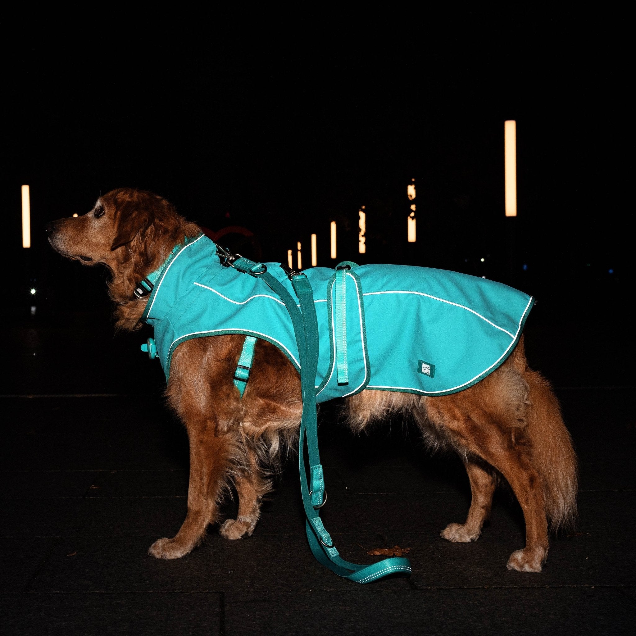 Raincoat for dogs - MATRIX 2.0 TURQUOISE – Max & Molly Urban Pets