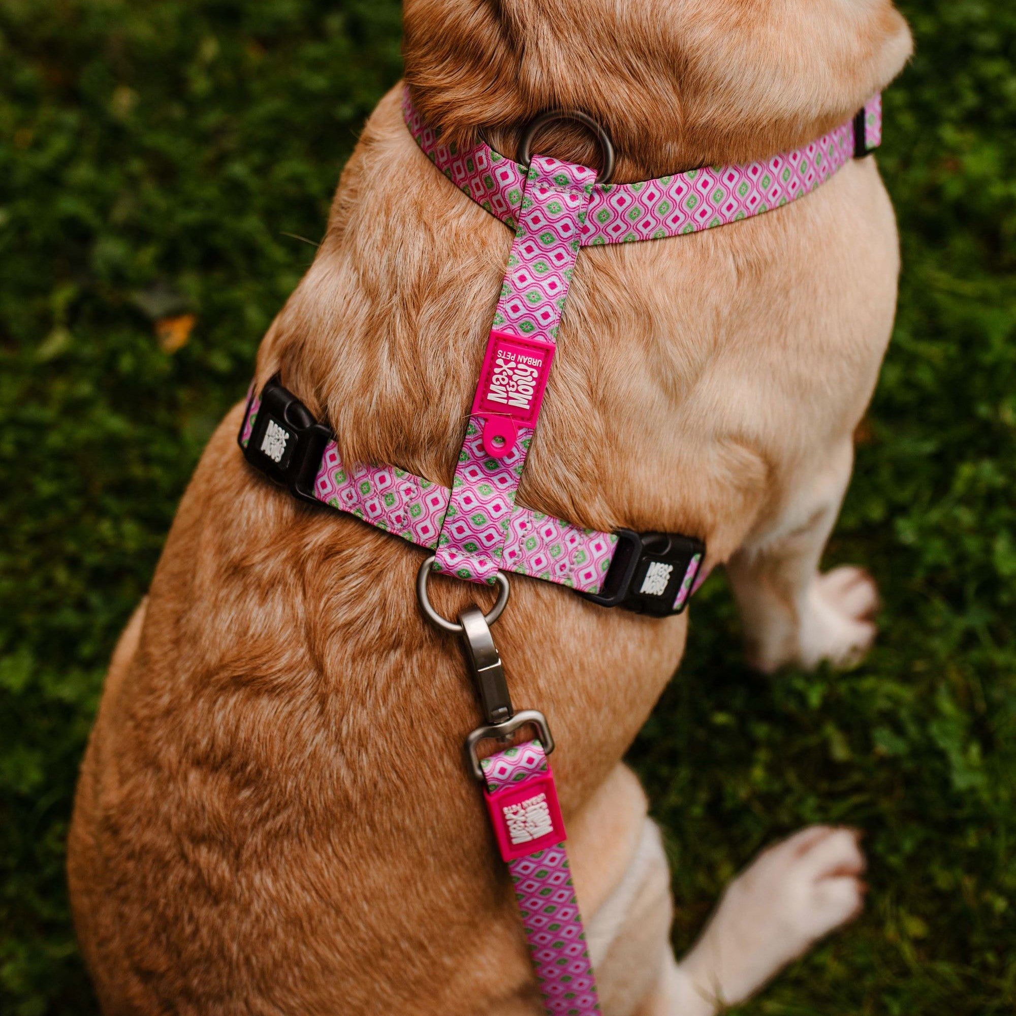 H-Geschirr - Retro Pink