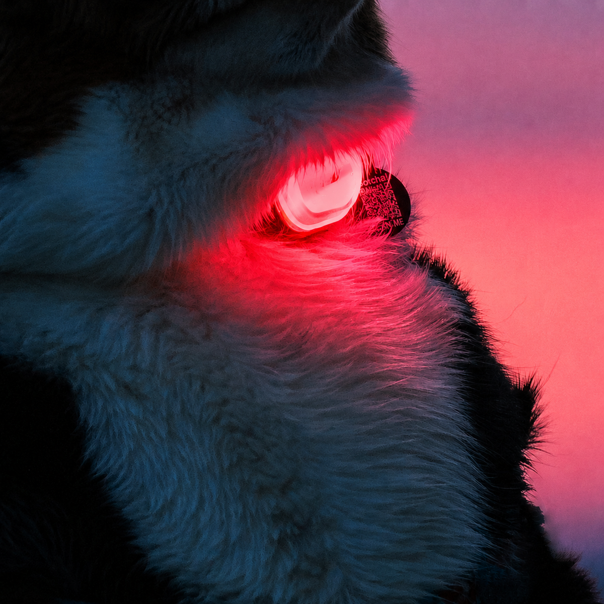 Matrix 2.0 Ultra LED - Sicherheitslicht-Multi-Licht