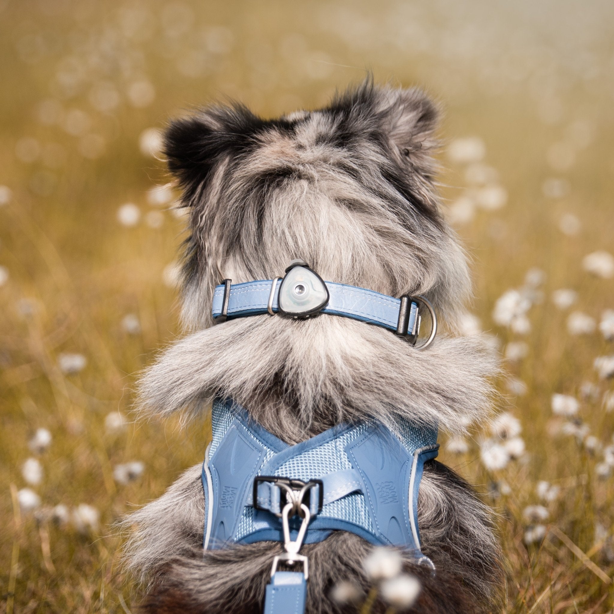 Air Vest Hunde Geschirr - Matrix 2.0 Ocean