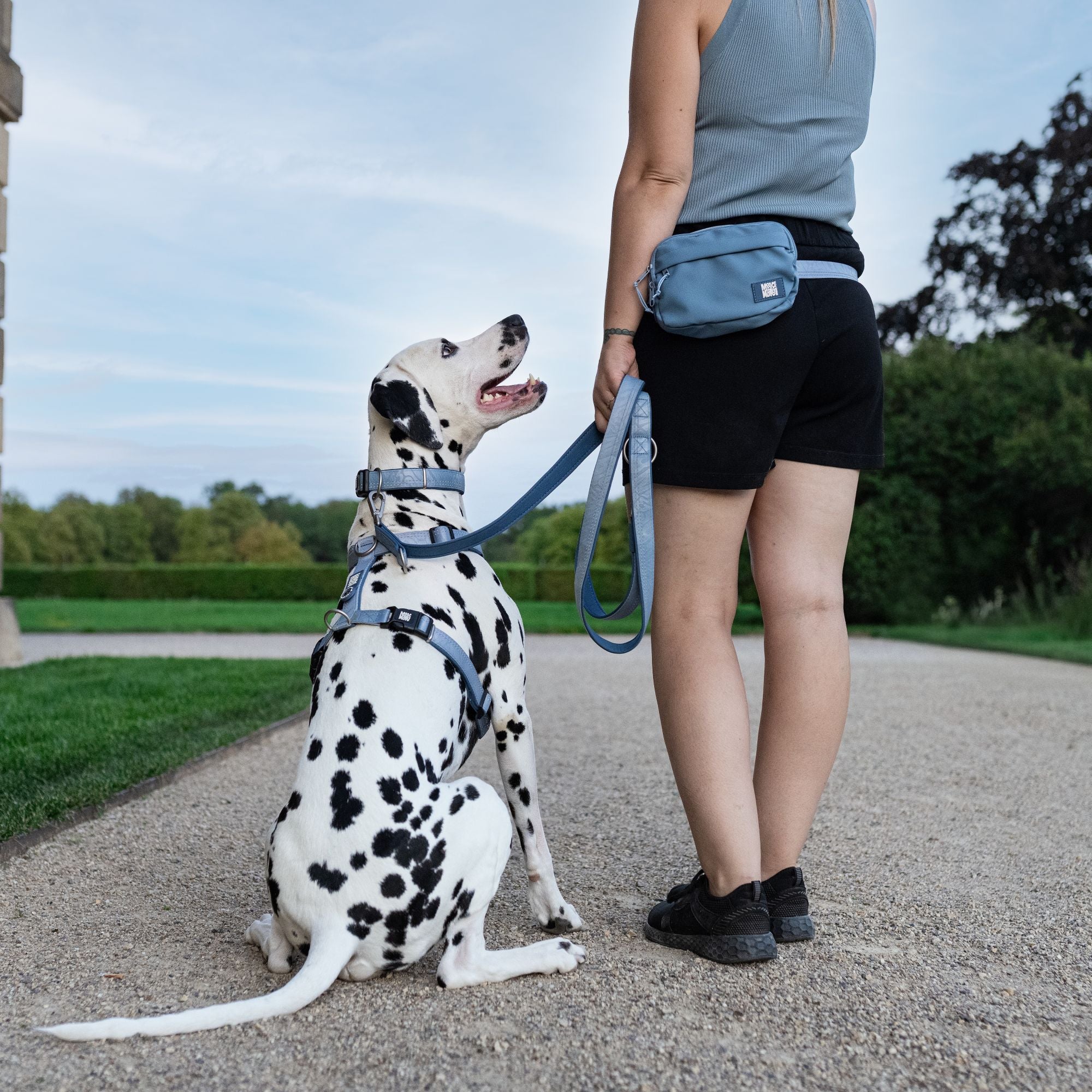 Multifunctional Leash - Matrix 2.0 Ocean