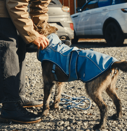 Raincoat for dogs - Matrix 2.0 Ocean
