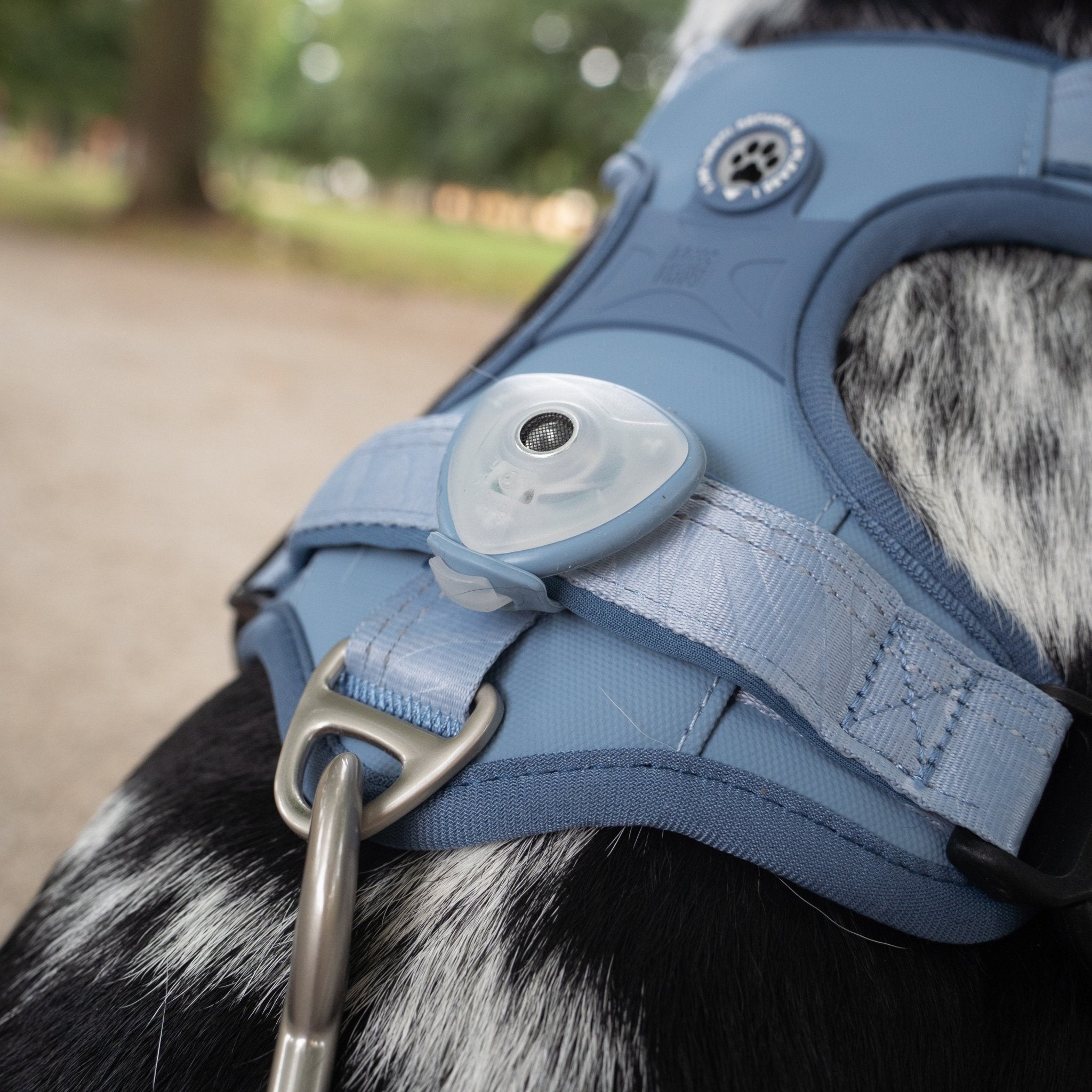 GOTCHA! Smart ID Sport Harness - Matrix 2.0 Ocean