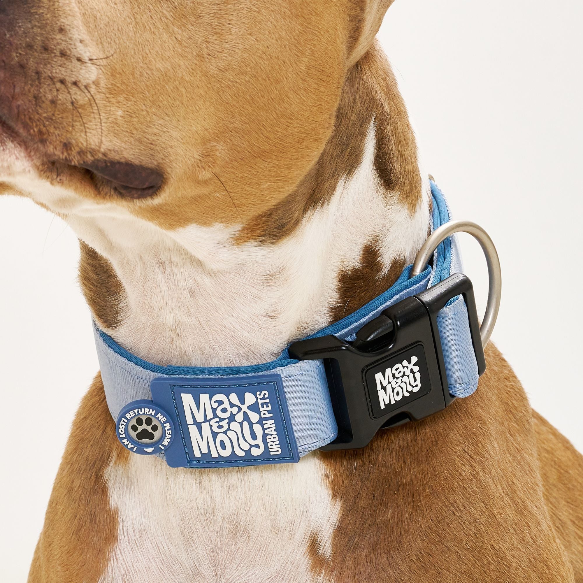 Smart ID Breites Halsband - Matrix 2.0 Ocean