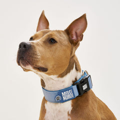 Smart ID Wide Collar - Matrix 2.0 Ocean