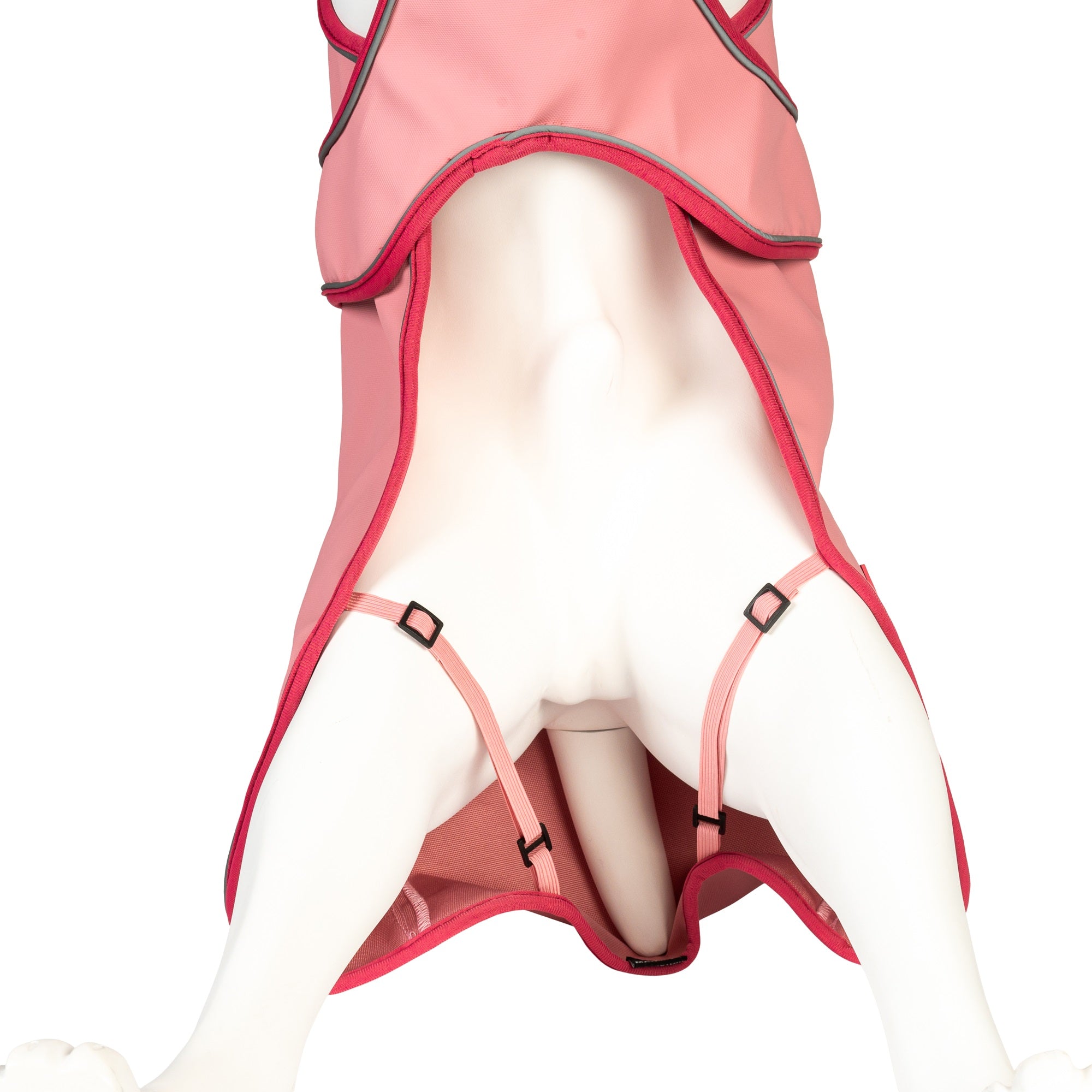 Max & Molly dog raincoat – waterproof, windproof, and adjustable for maximum comfort and protection.