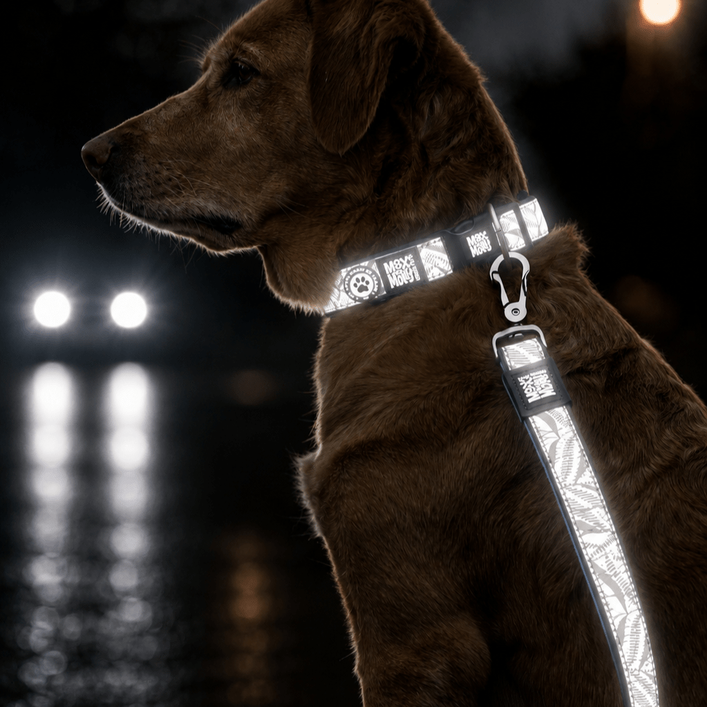 Gotcha! Smart ID Dog Collar Reflexion - Garden