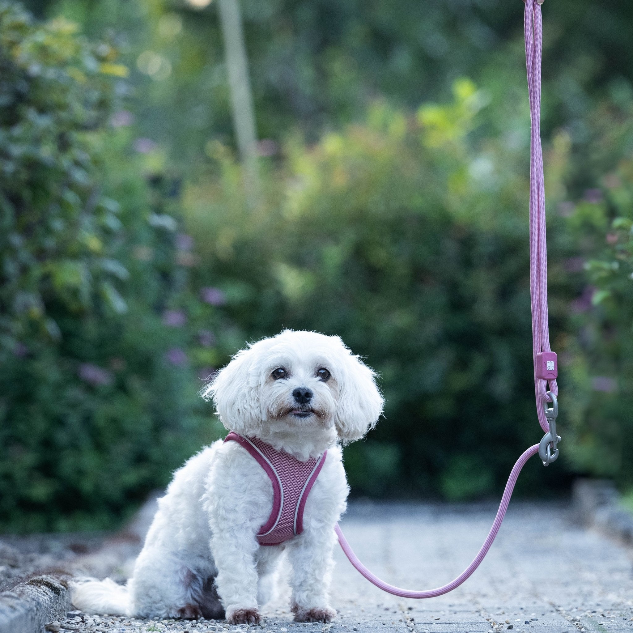 Rope Leash - MATRIX 2.0 Rose