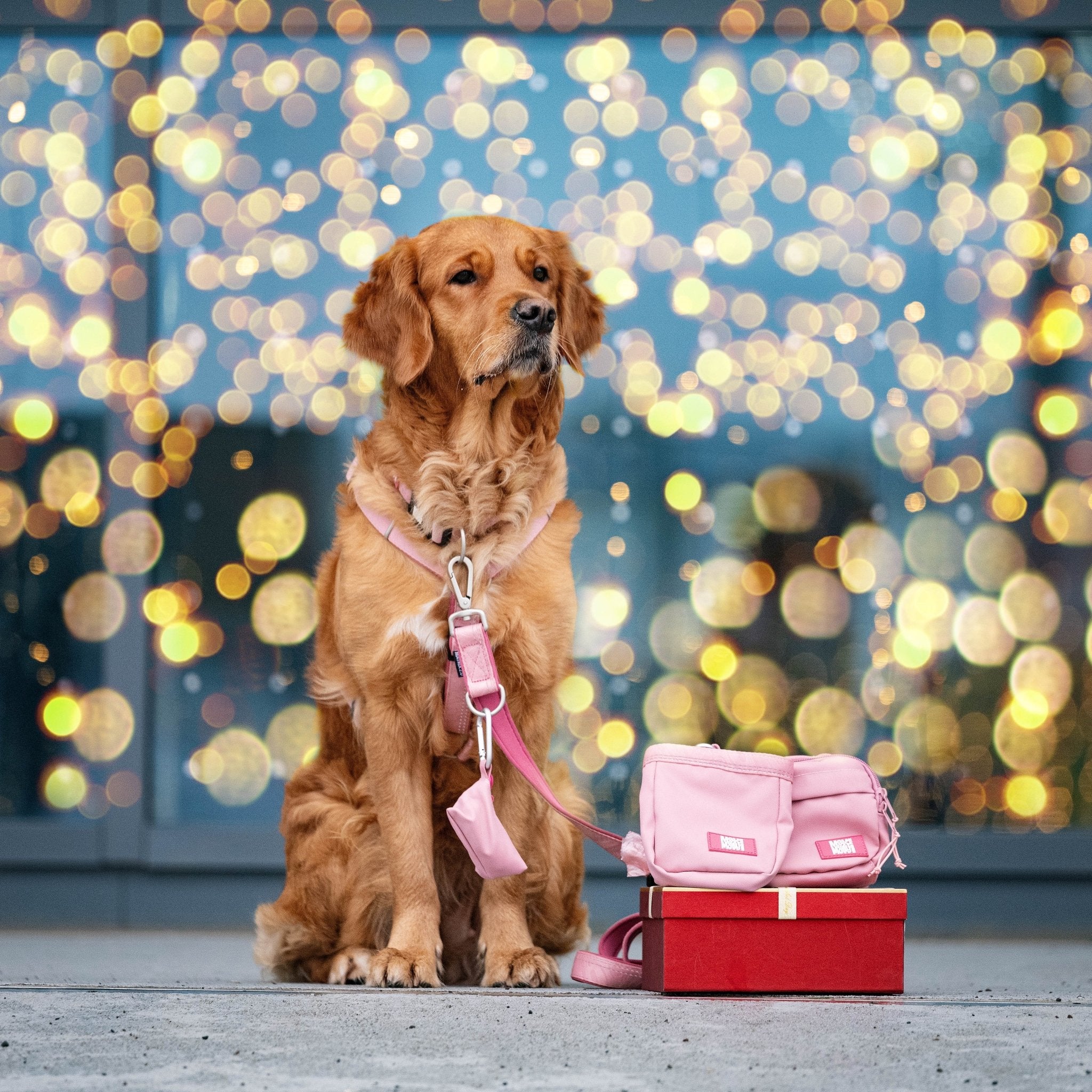 Treat Bag - Matrix 2.0 Rose