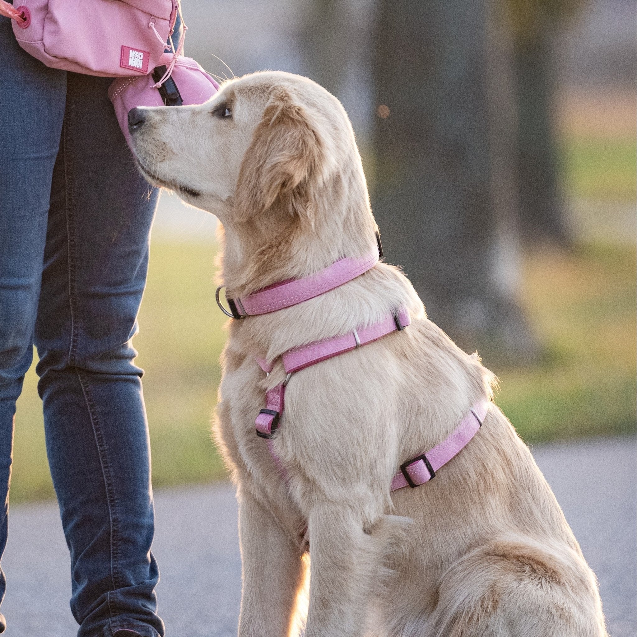 GOTCHA! Smart ID Comfort H-Harness - Matrix 2.0 Rose