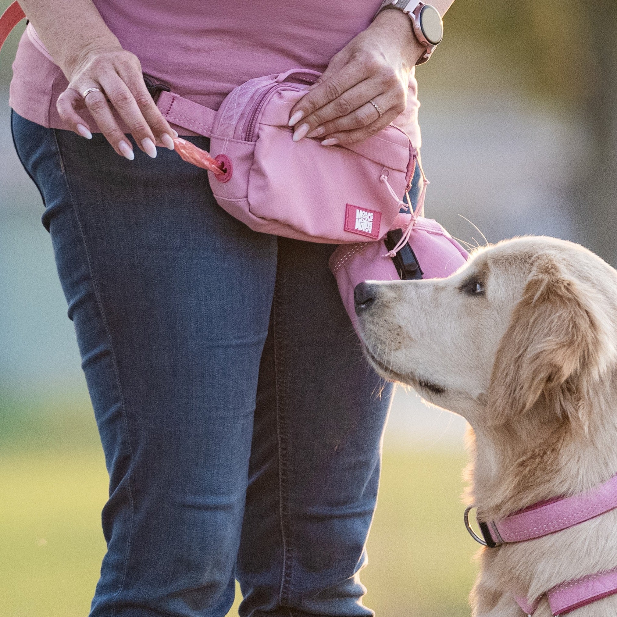 Training Bag  - Matrix 2.0 Rose