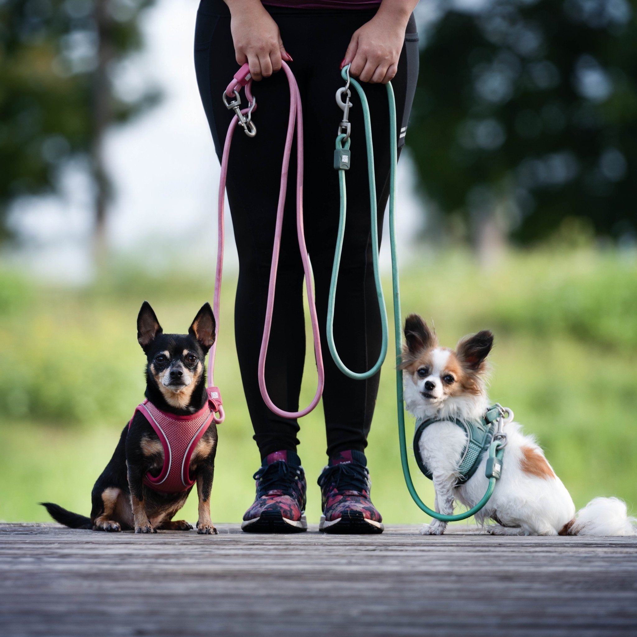 Air Vest Hunde Geschirr - Matrix 2.0 Rose