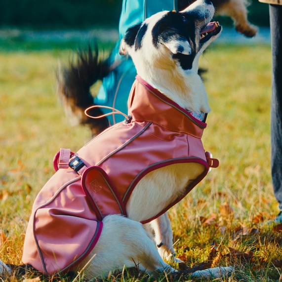 Regenmantel für Hunde - MATRIX 2.0 ROSE