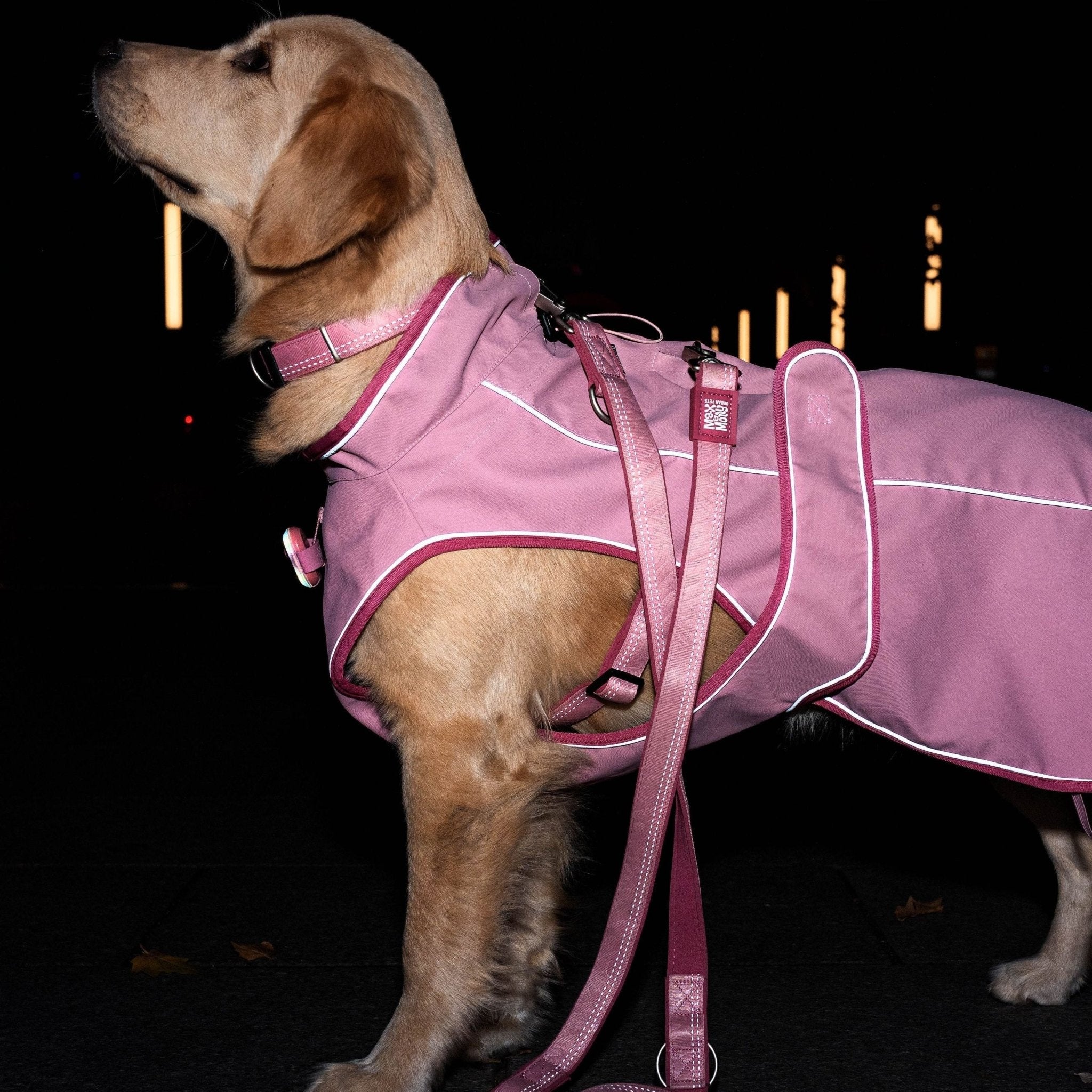 Multifunctional Leash - Matrix 2.0 Rose