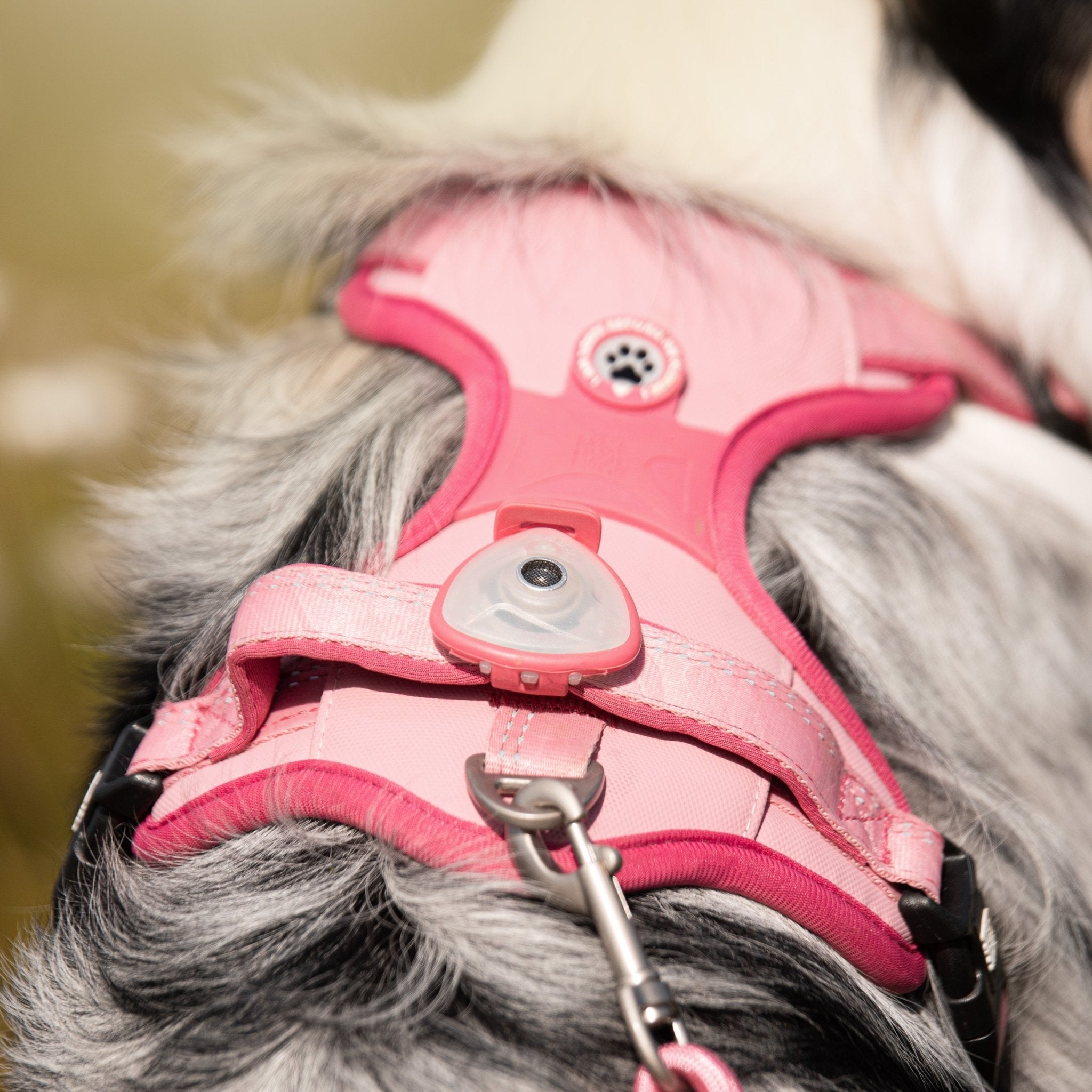 Soundshield - 24/7 Ultrasonic Technology Against Ticks & Fleas - Rose