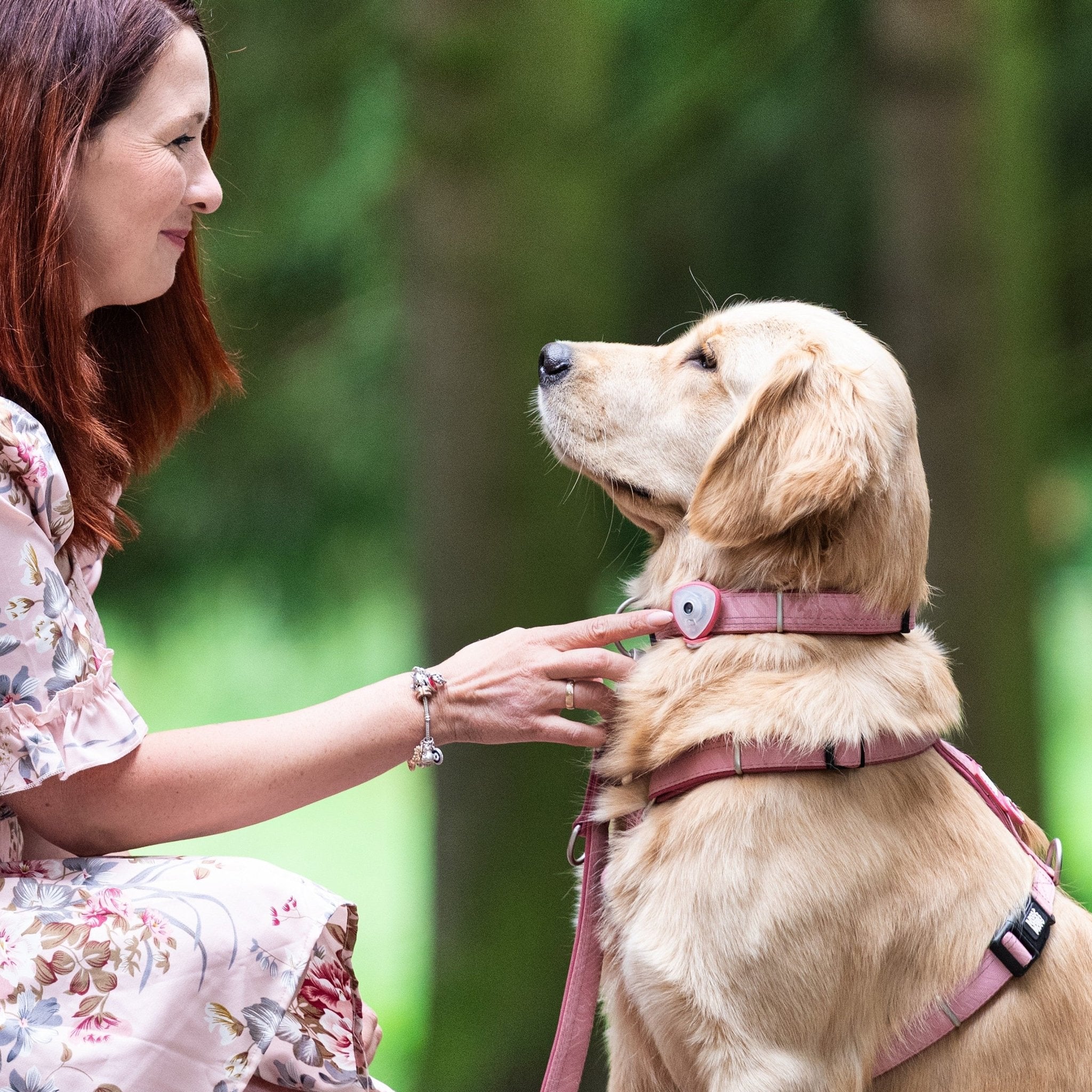 Soundshield - 24/7 Ultrasonic Technology Against Ticks & Fleas - Rose