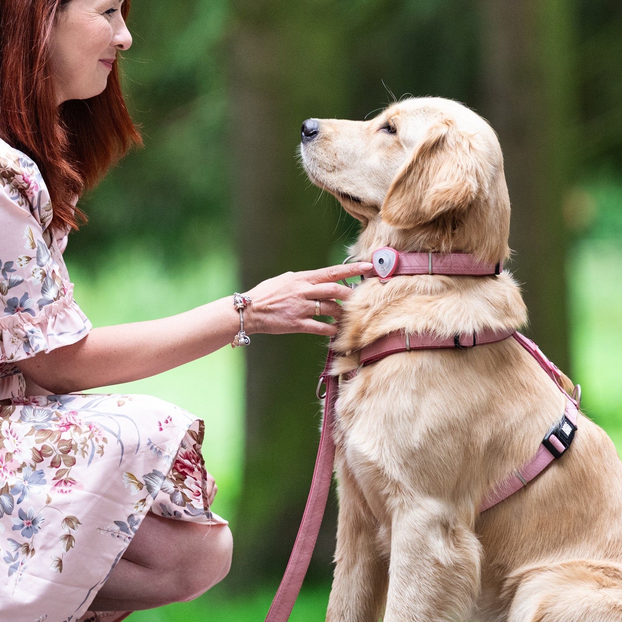 GOTCHA! Smart ID Comfort H-Harness - Matrix 2.0 Rose