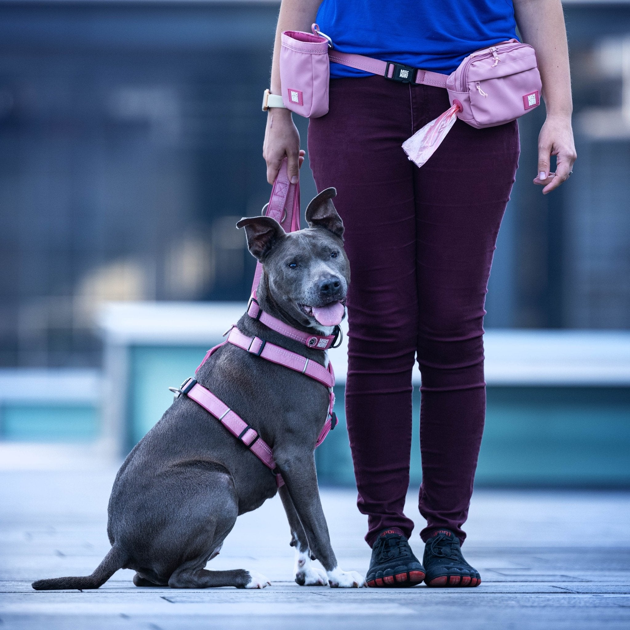 Treat Bag - Matrix 2.0 Rose