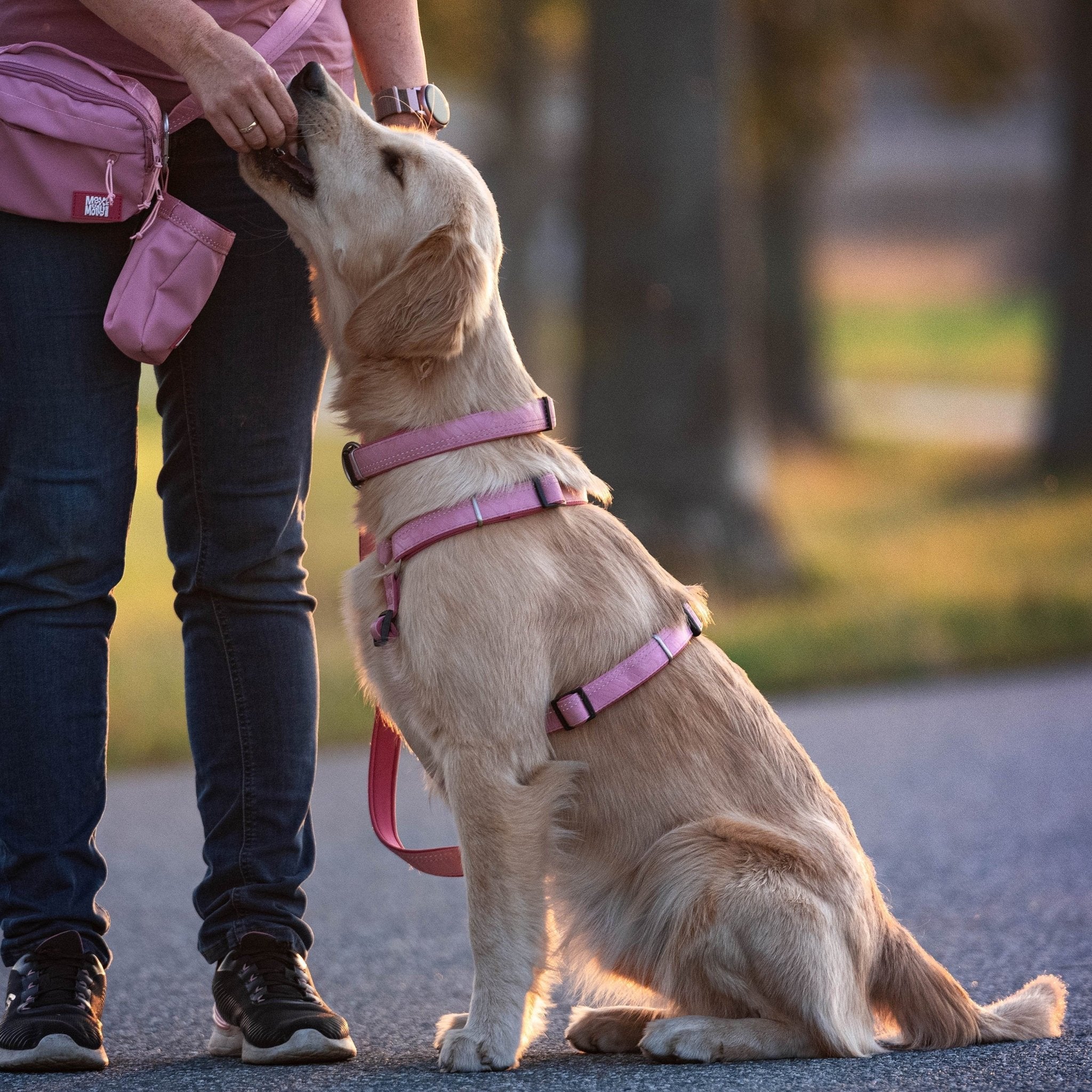 GOTCHA! Smart ID Comfort H-Harness - Matrix 2.0 Rose