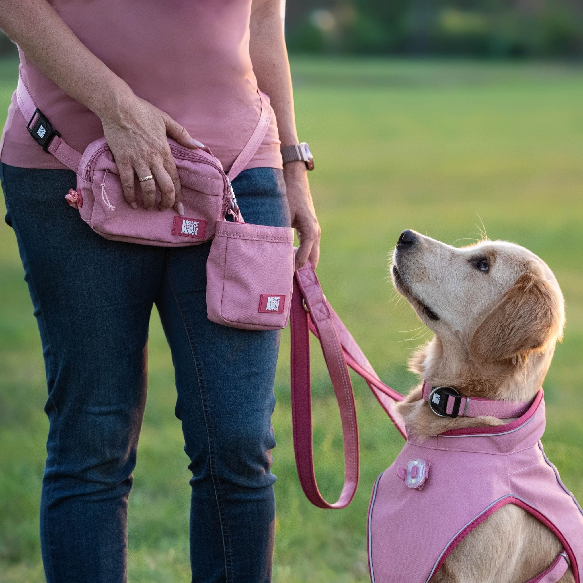 Treat Bag - Matrix 2.0 Rose