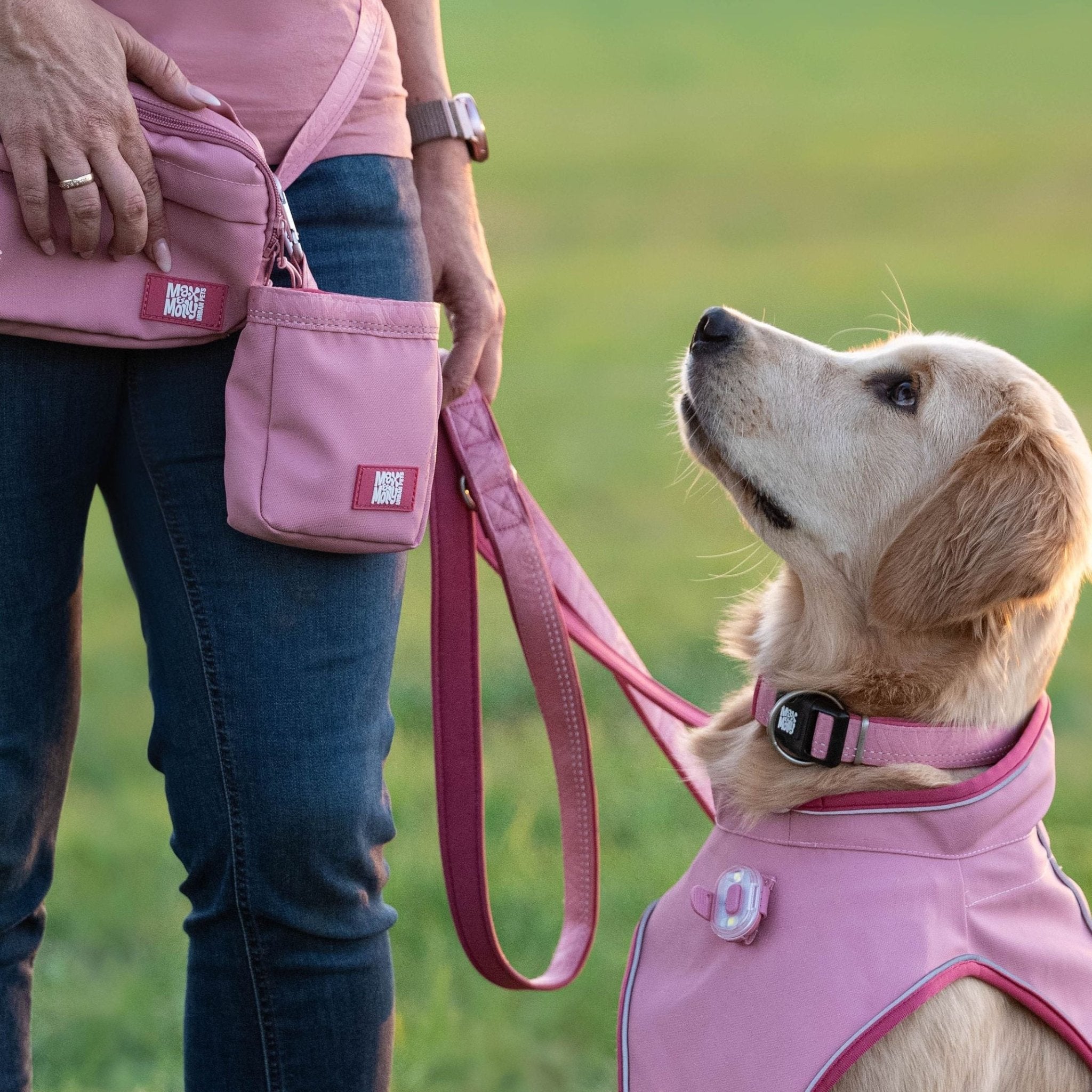 Multifunctional Leash - Matrix 2.0 Rose