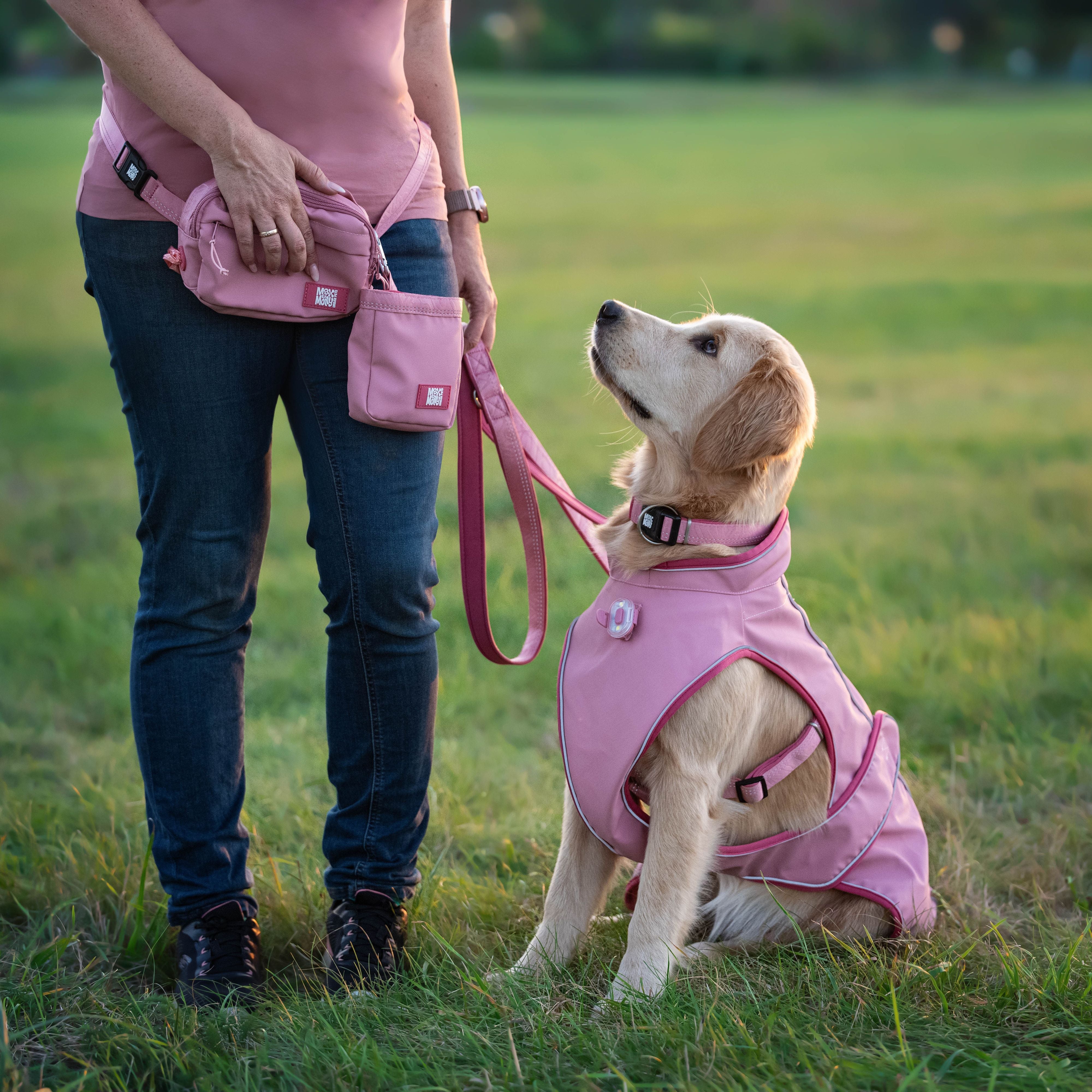 Raincoat for dogs - Matrix 2.0 Rose