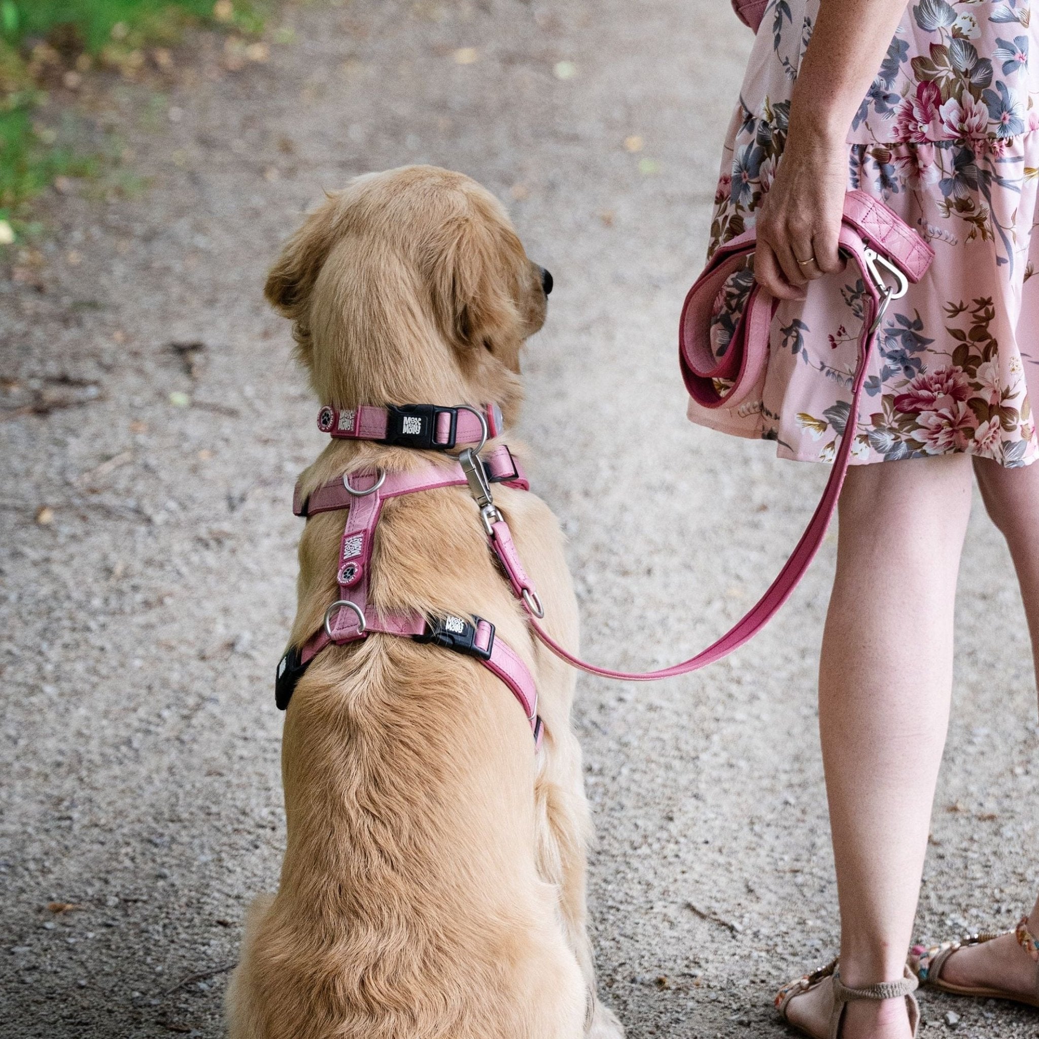 GOTCHA! Smart ID Comfort H-Harness - Matrix 2.0 Rose