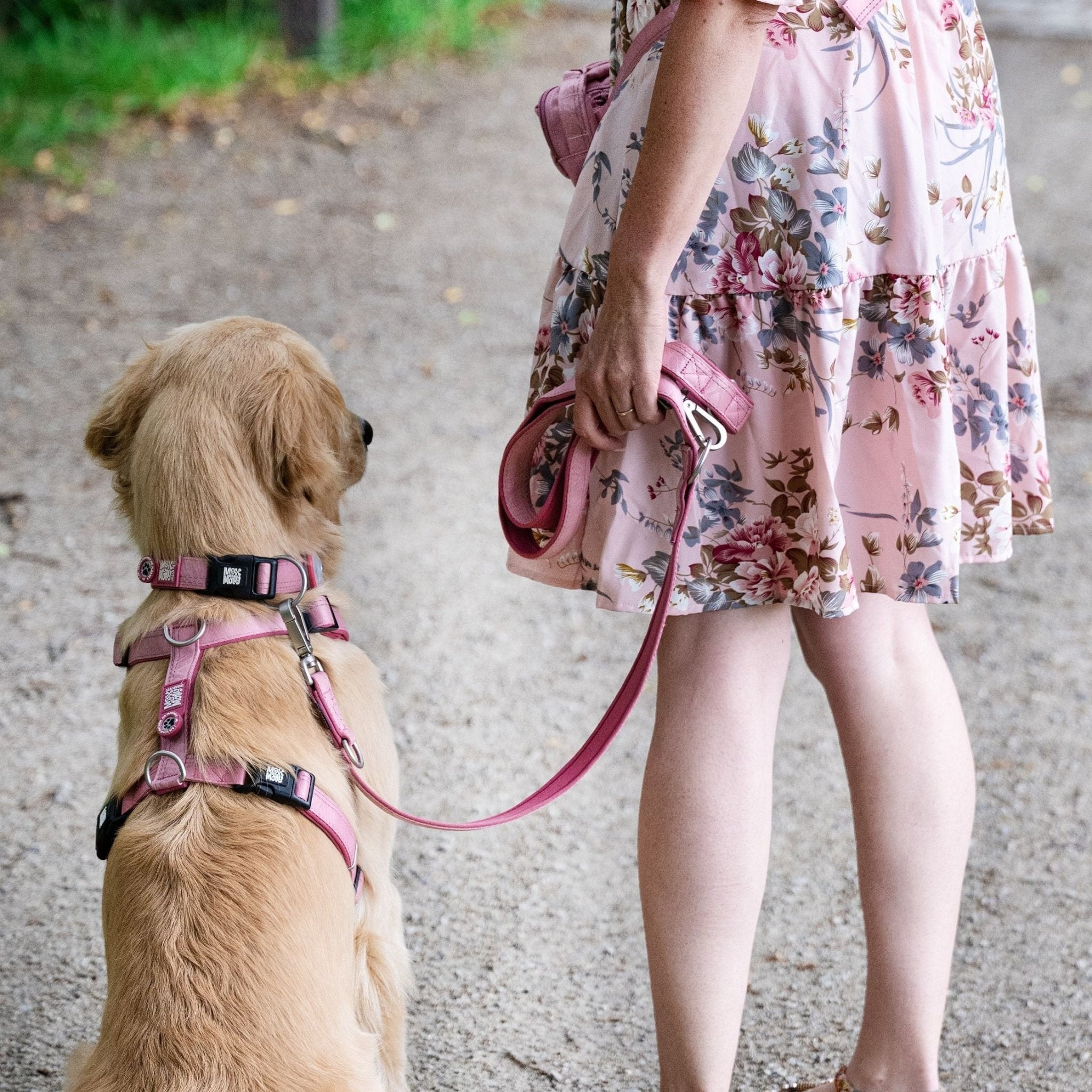 Multifunctional Leash - Matrix 2.0 Rose