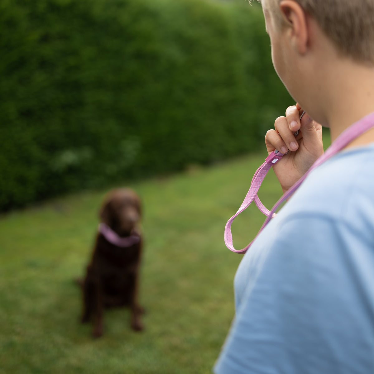 Dog Whistle Lanyard - Matrix 2.0 Rose