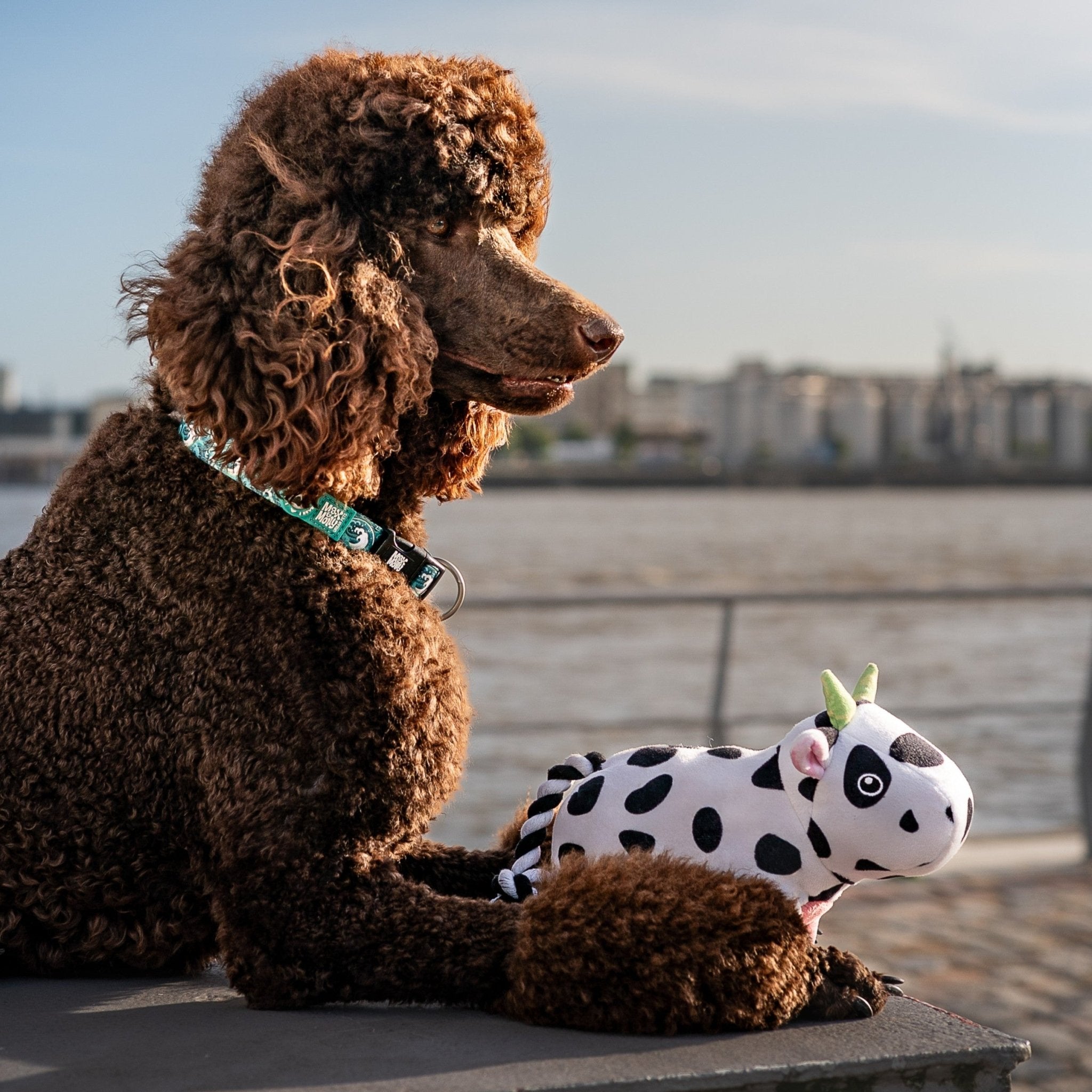 Huggles Toy - Cow Claire