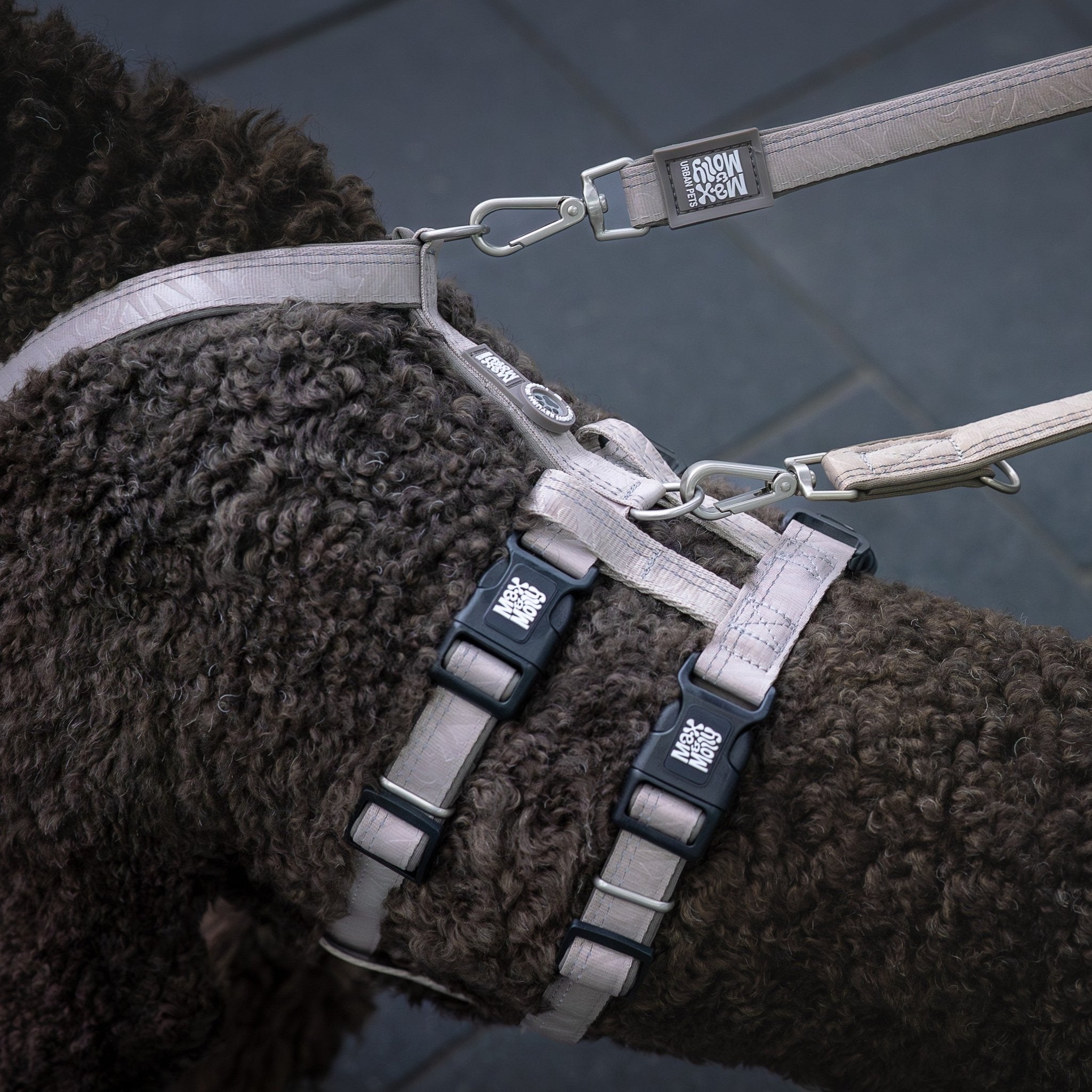 Geschirr Sicherheitsadapter - Matrix 2.0 Sand