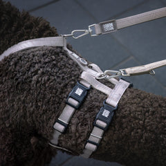 Safety Harness Adapter - Matrix 2.0 Sand