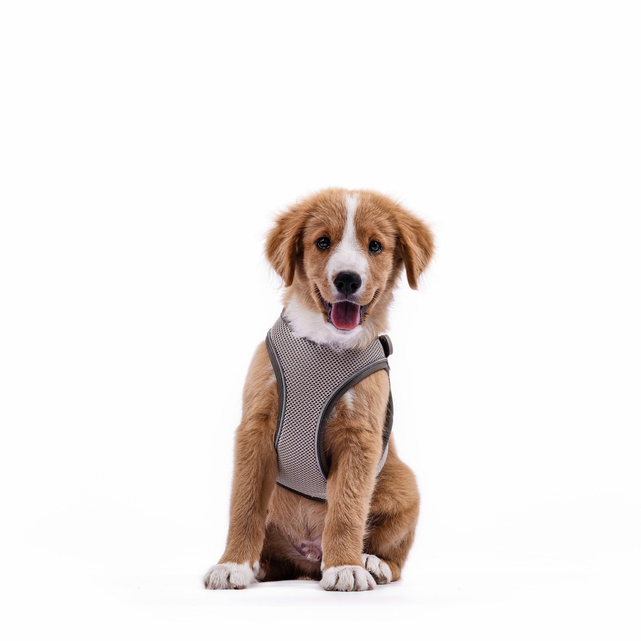 Air Vest Hunde Geschirr - Matrix 2.0 Sand