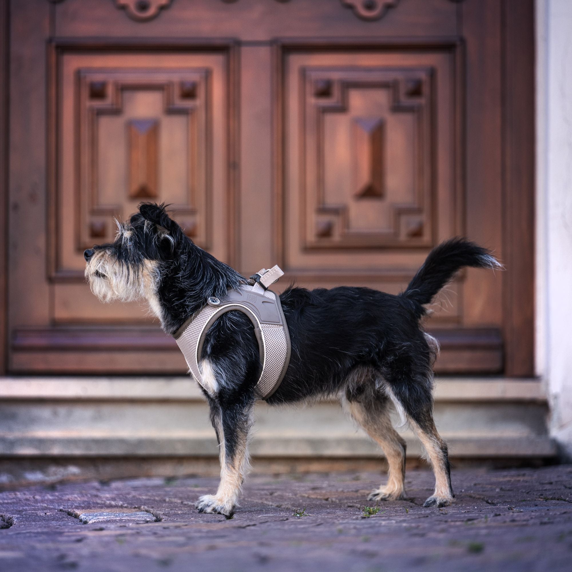 Air Vest Hunde Geschirr - Matrix 2.0 Sand