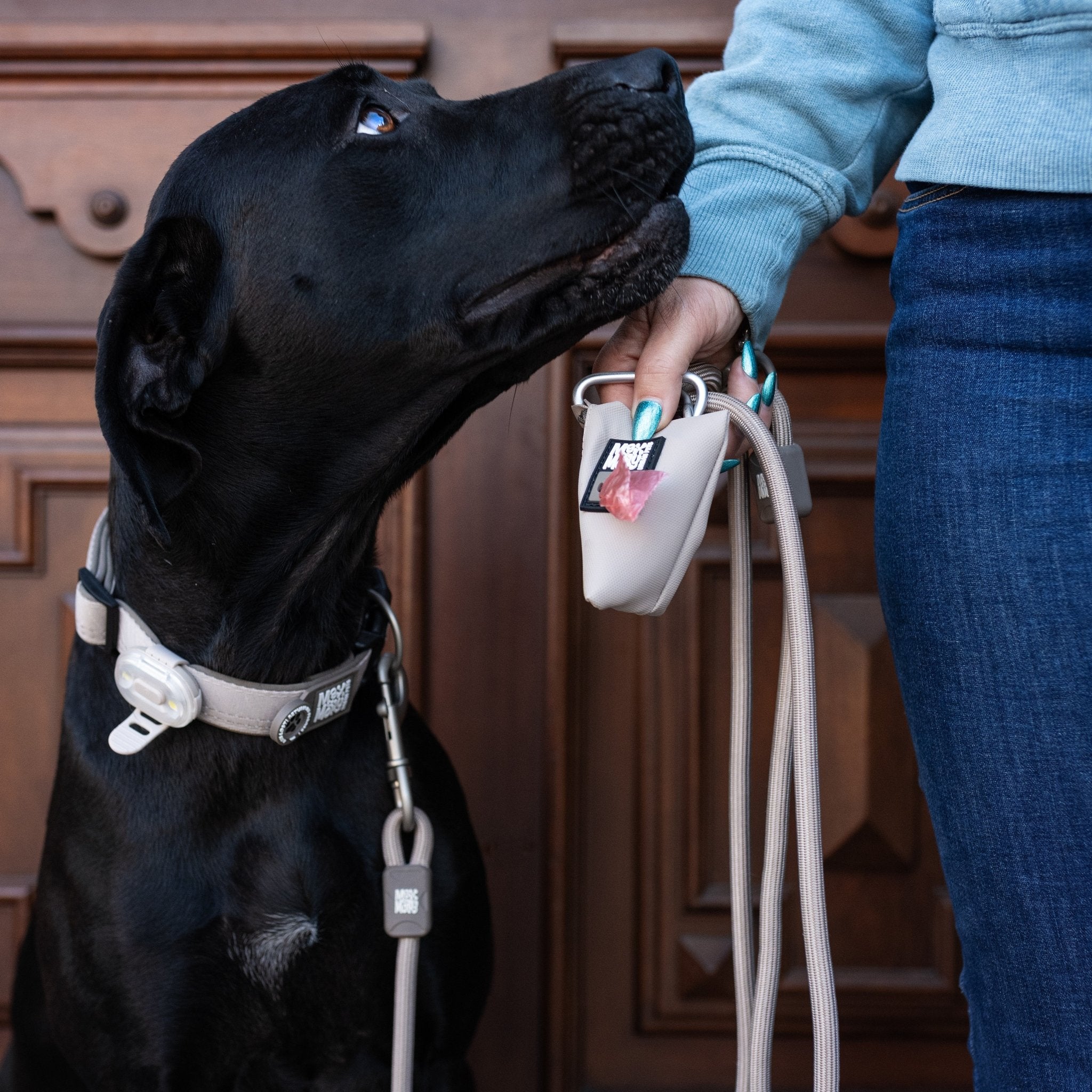 Poo Bag Dispenser for dogs - Matrix 2.0 Sand