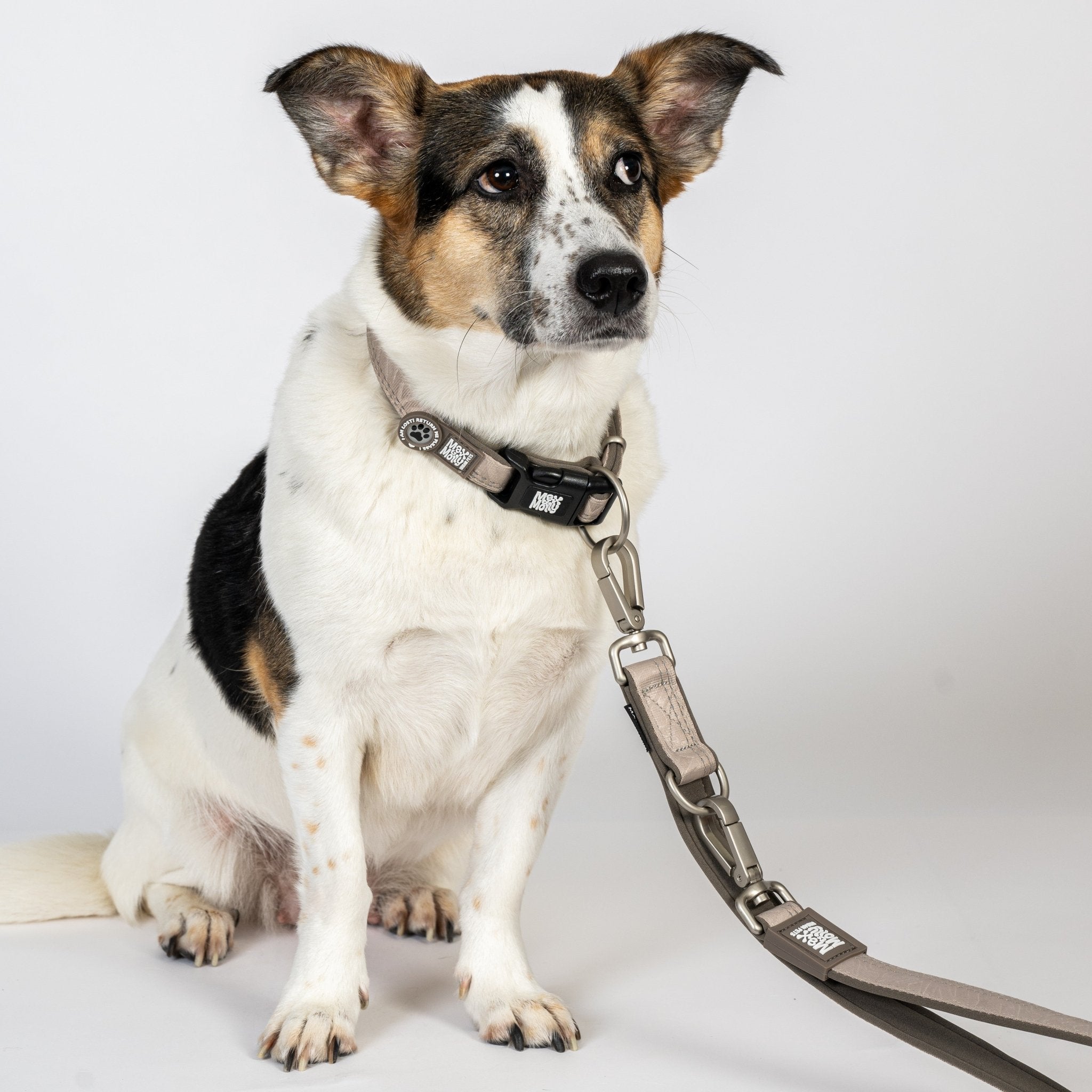 GOTCHA! Smart ID Collar - Matrix 2.0 Sand