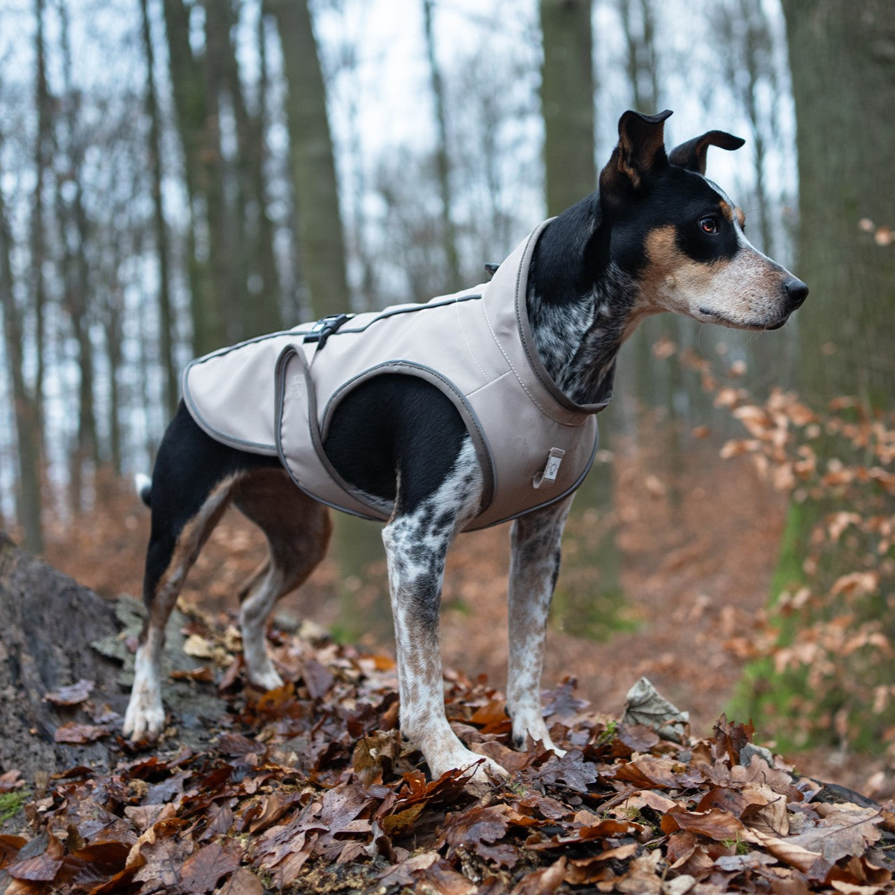 Regenmantel für Hunde - Matrix 2.0 Sand