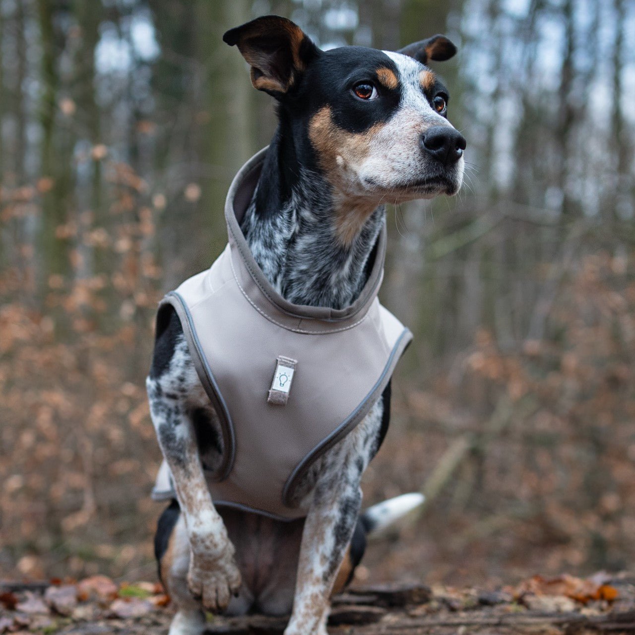 Regenmantel für Hunde - MATRIX 2.0 SAND