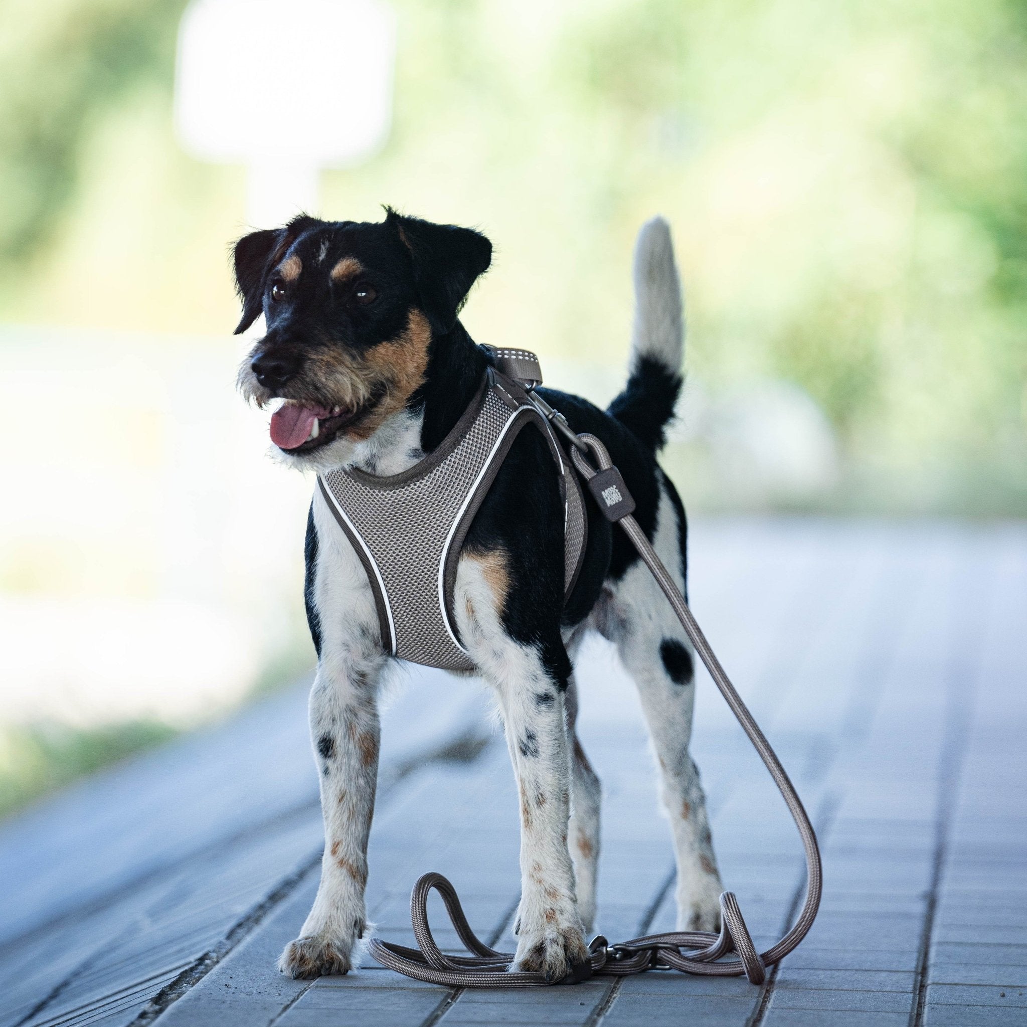 Air Vest Hunde Geschirr - Matrix 2.0 Sand