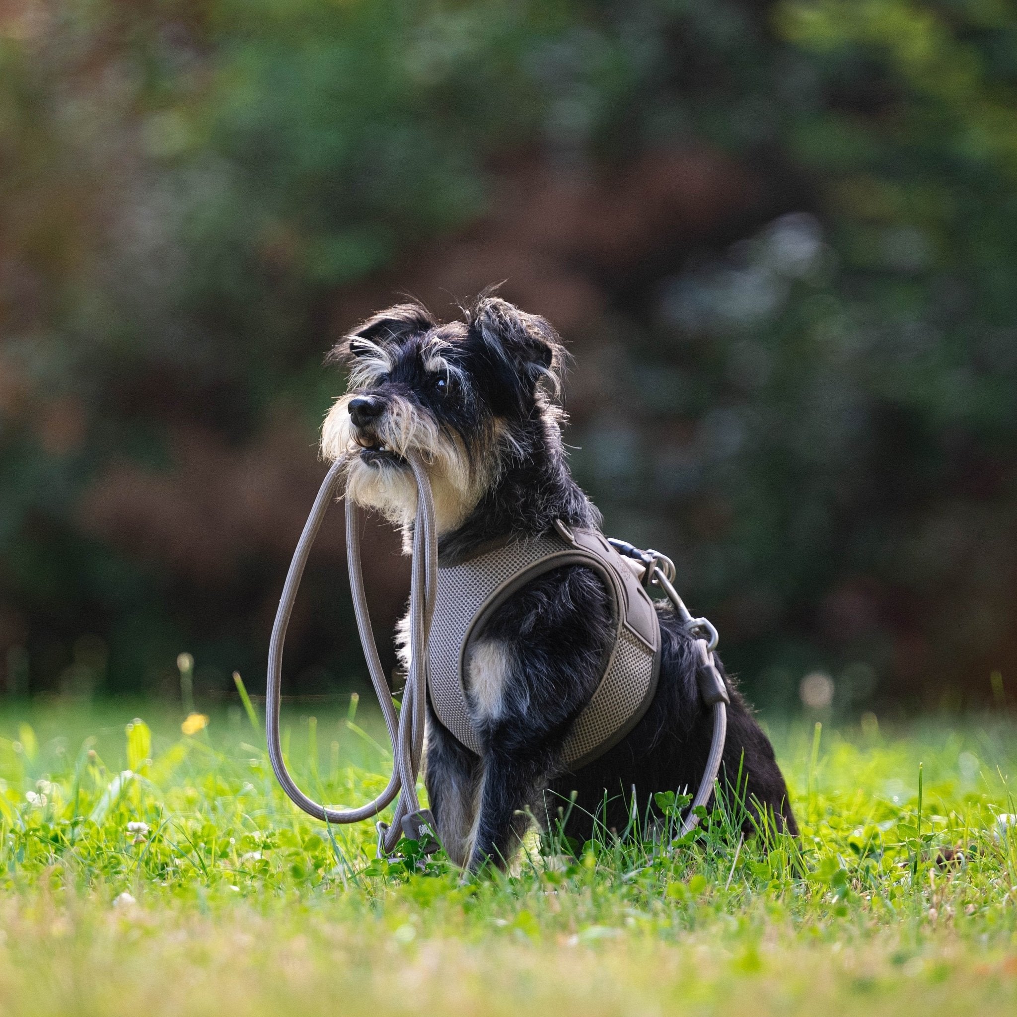 Air Vest Hunde Geschirr - Matrix 2.0 Sand