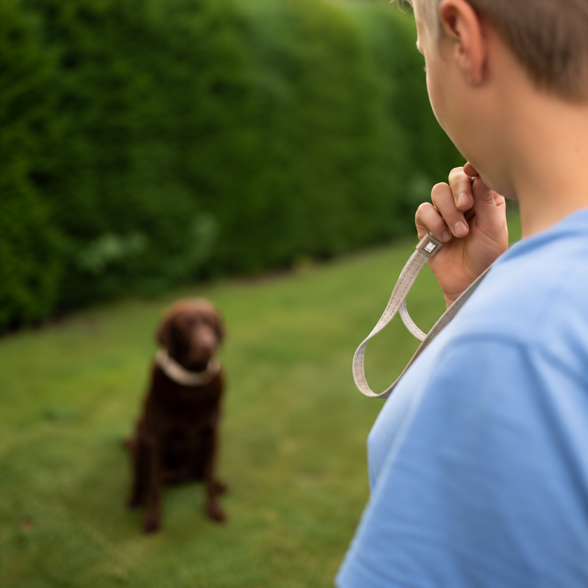Dog Whistle Lanyard - Matrix 2.0 Sand