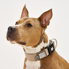 Smart ID Wide Collar - Matrix 2.0 Sand