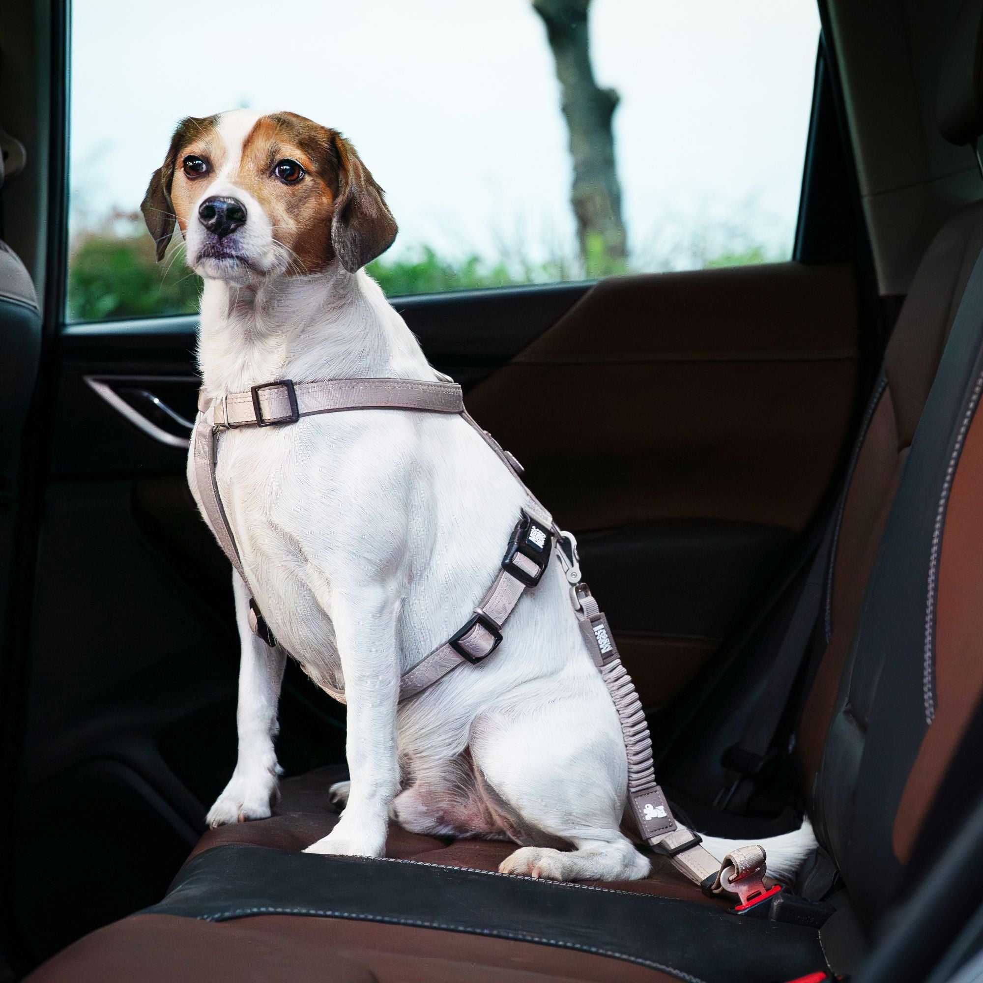 Car Seat Belt - Matrix 2.0