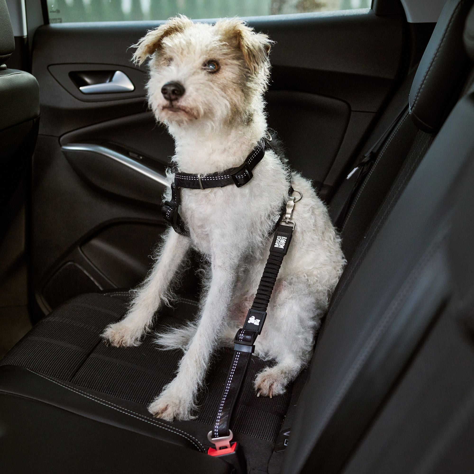 Car Seat Belt - Matrix 2.0