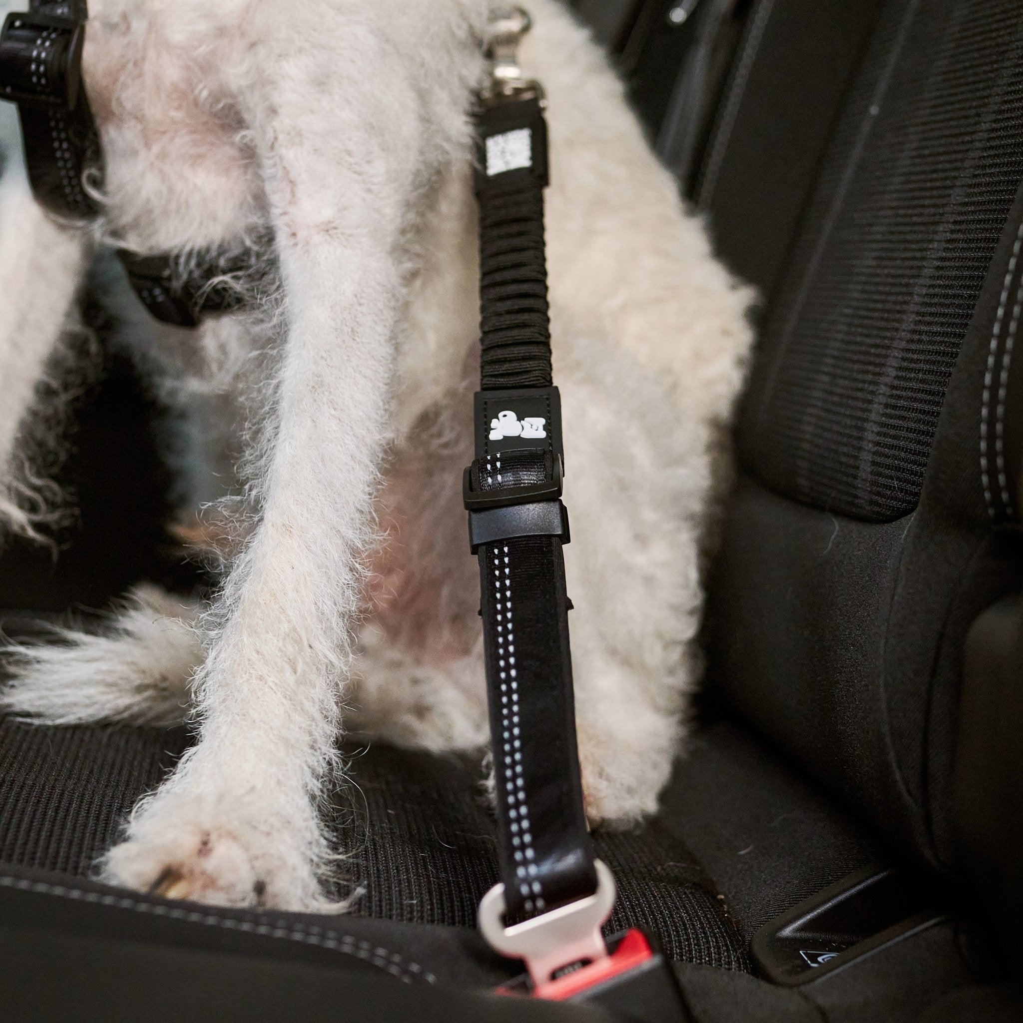 Car Seat Belt - Matrix 2.0