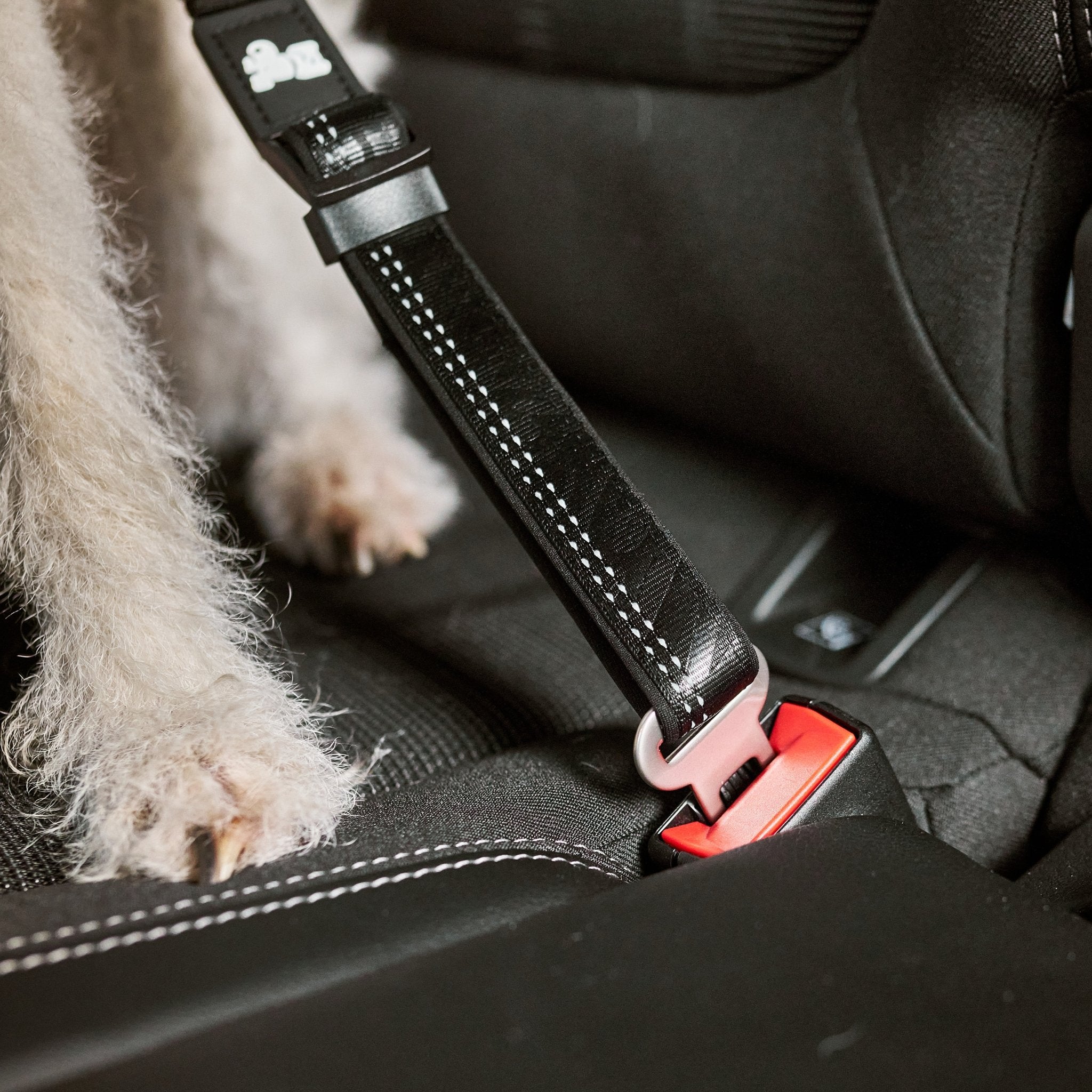 Car Seat Belt - Matrix 2.0