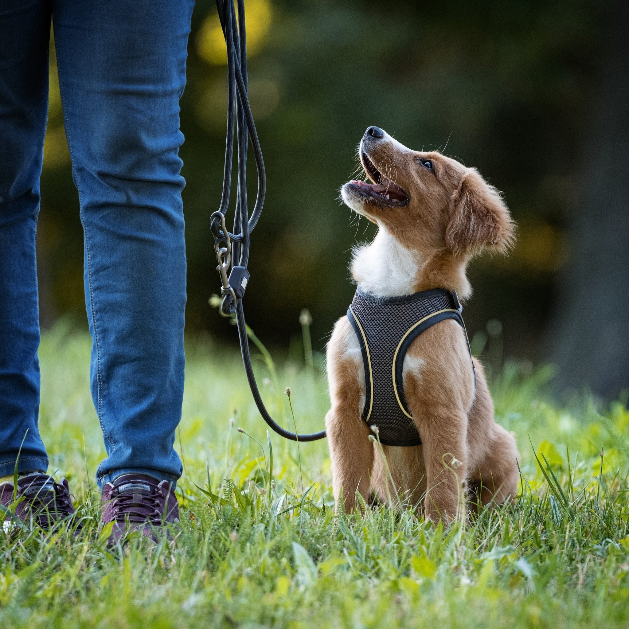Air Vest Hunde Geschirr - Matrix 2.0 Stone