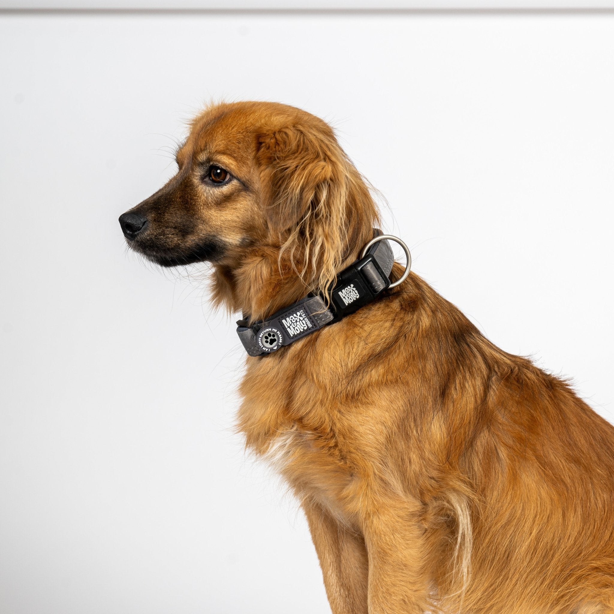 GOTCHA! Smart ID Halsband - Matrix 2.0 Stone